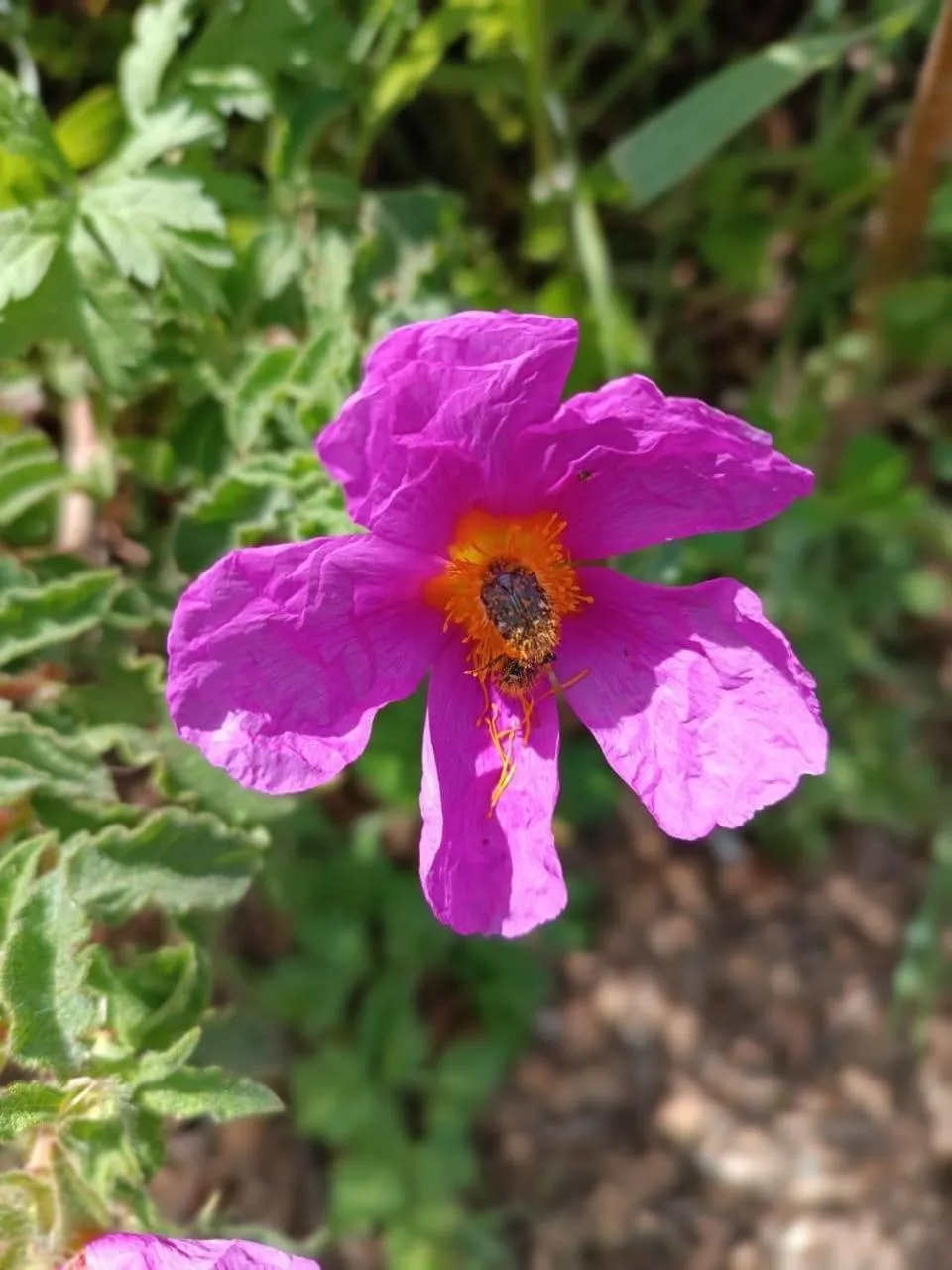 Activities in Nymphes Luxury Apartments