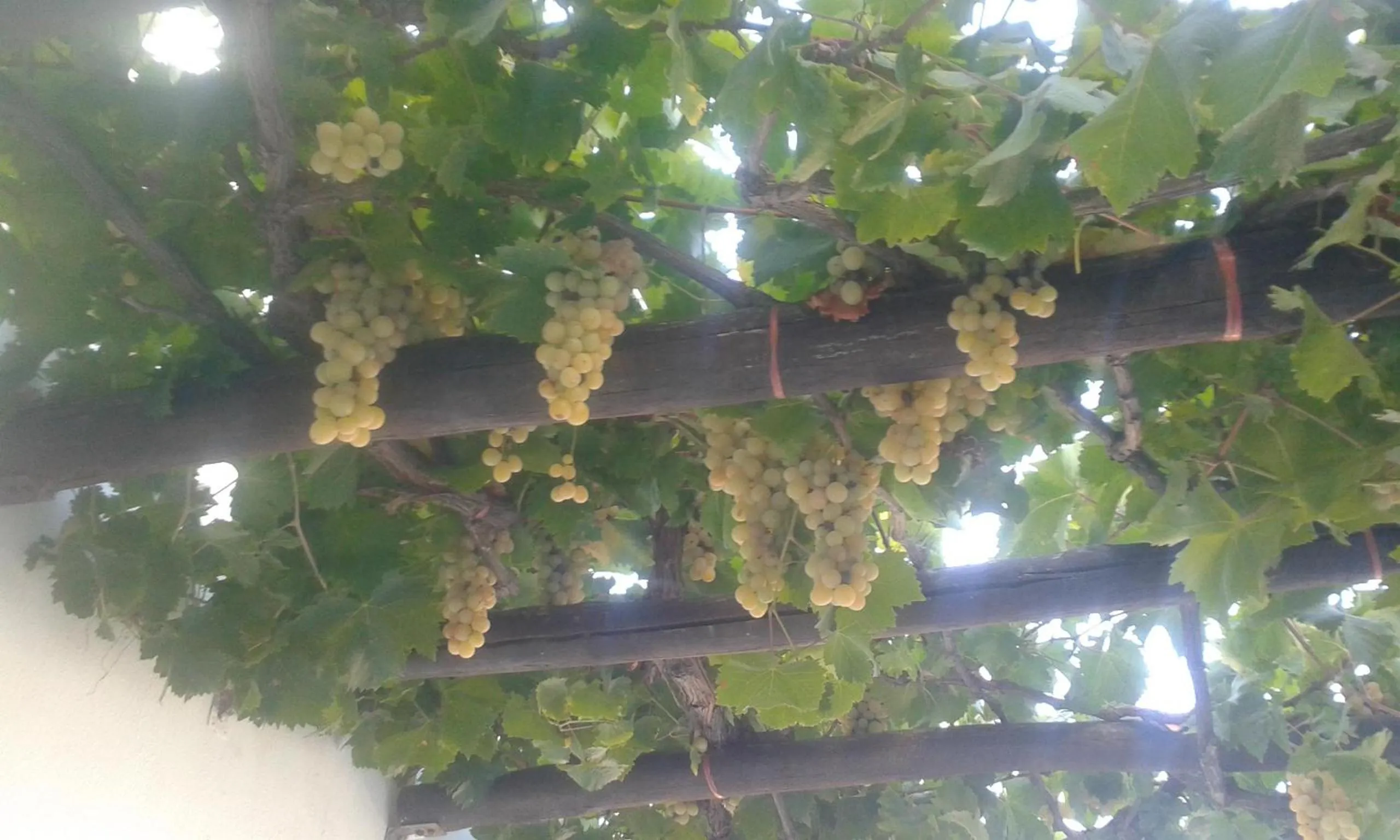 Balcony/Terrace in Nymphes Luxury Apartments