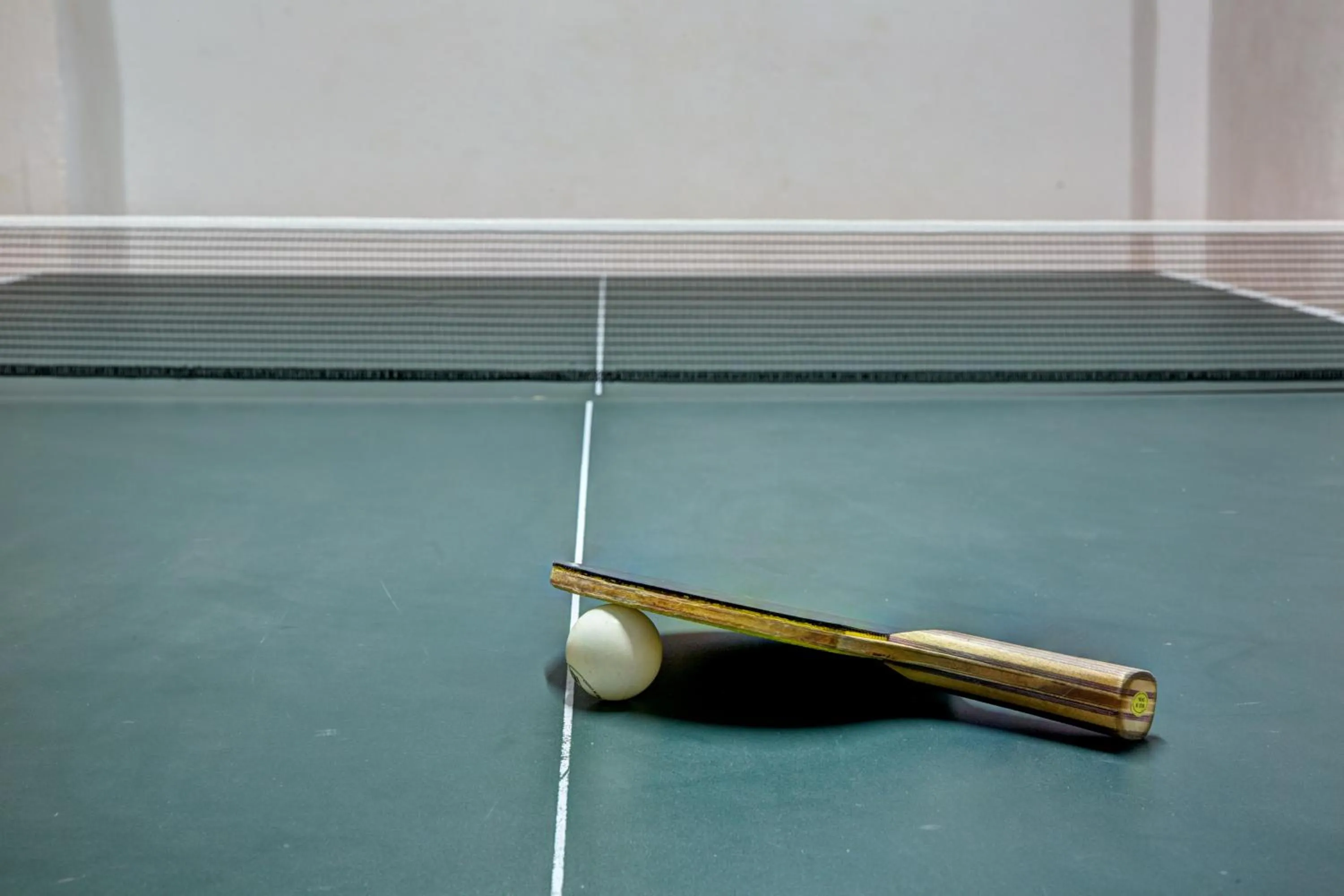 Table tennis in Asteras Paradise