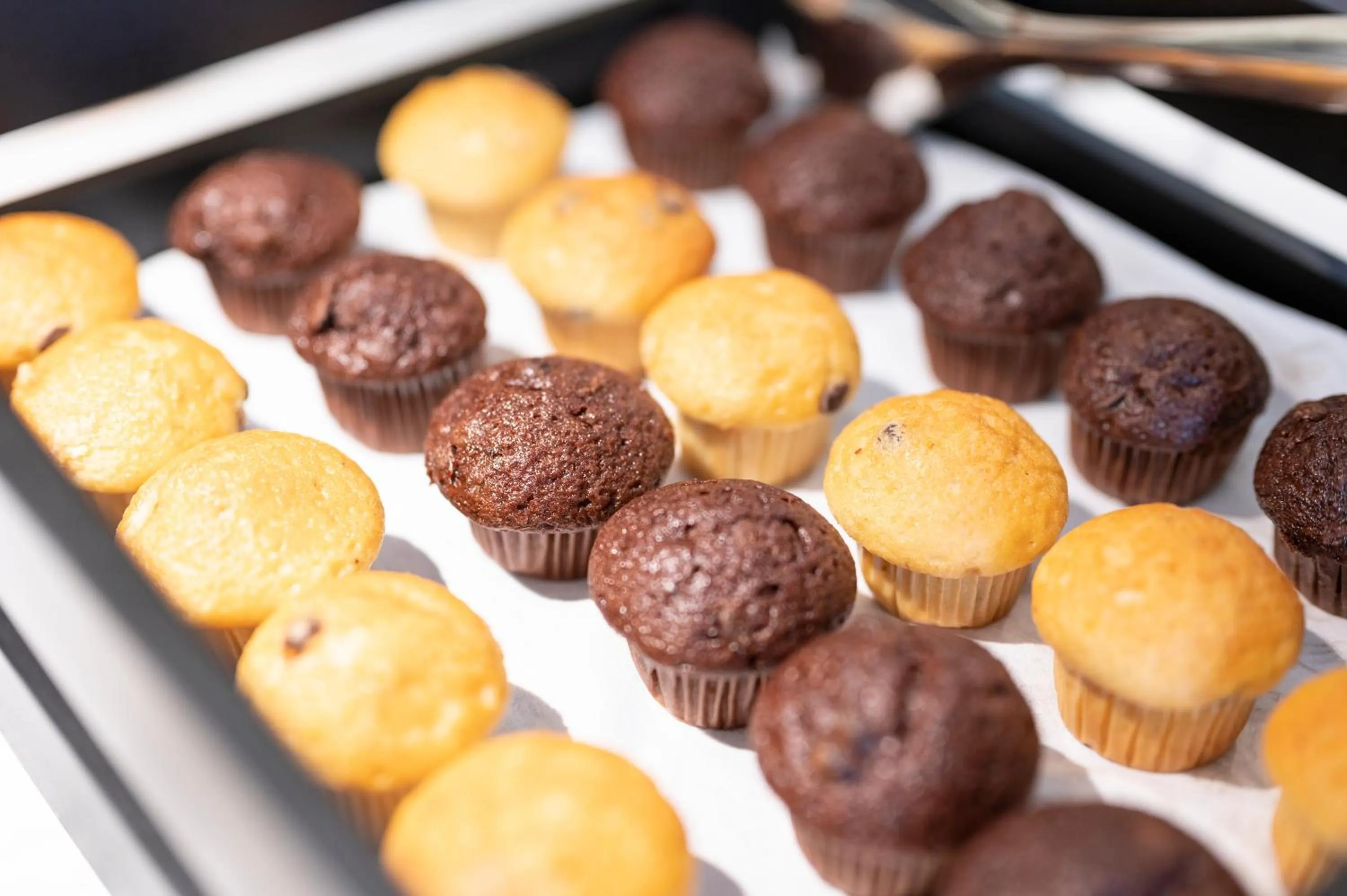 Food and drinks in B&B HOTEL Namur