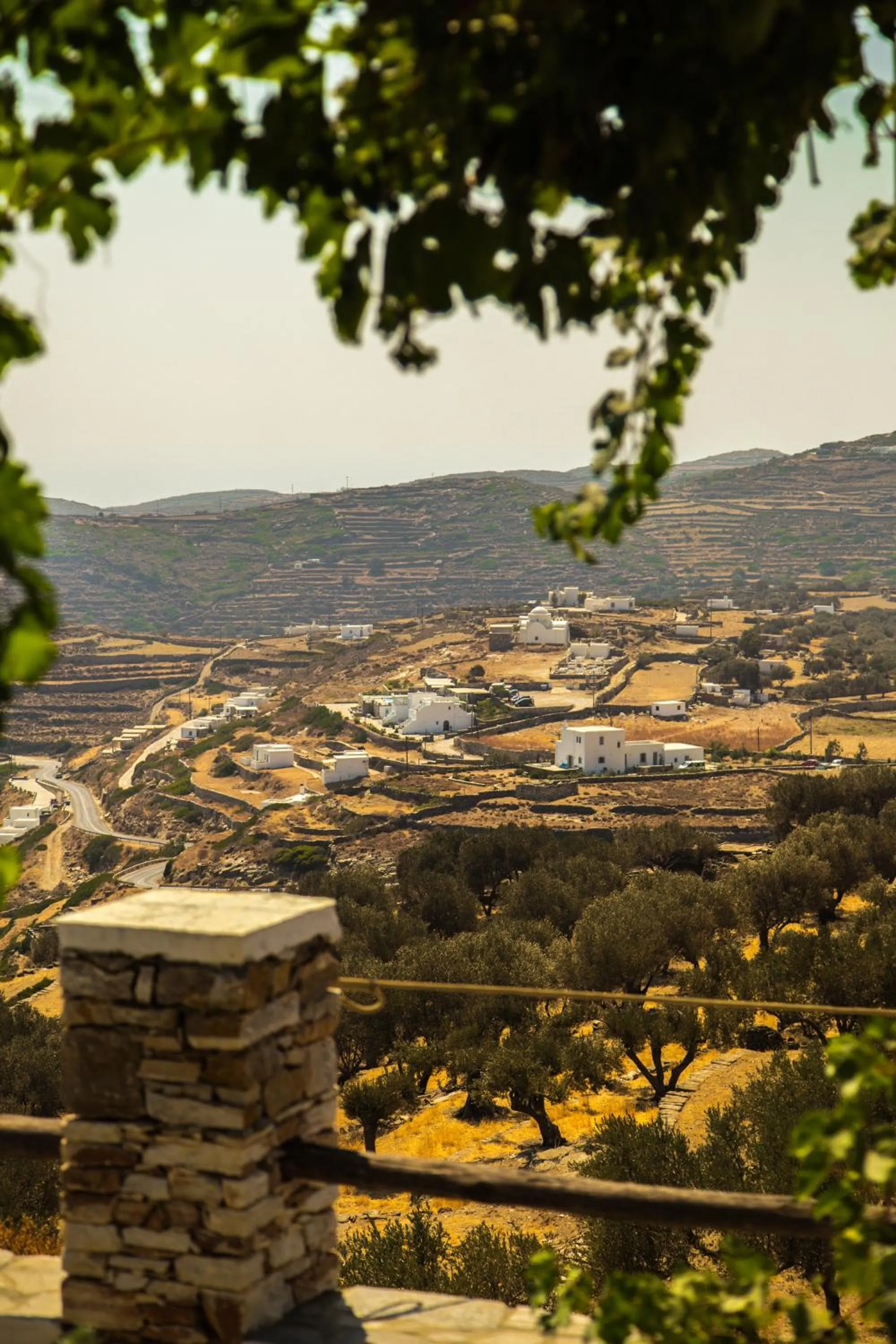 Natural landscape in Windmill Bella Vista