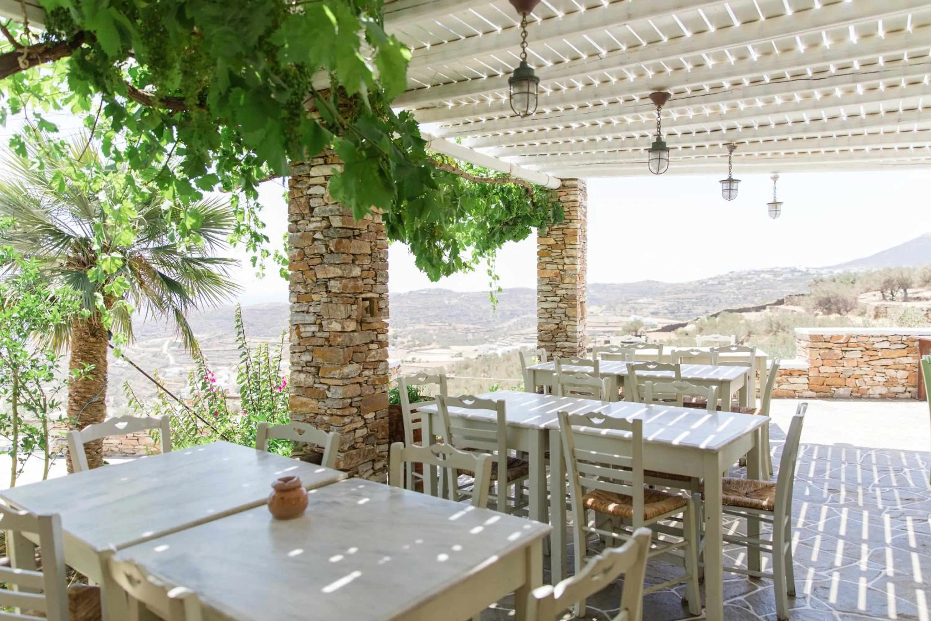 Restaurant/places to eat in Windmill Bella Vista