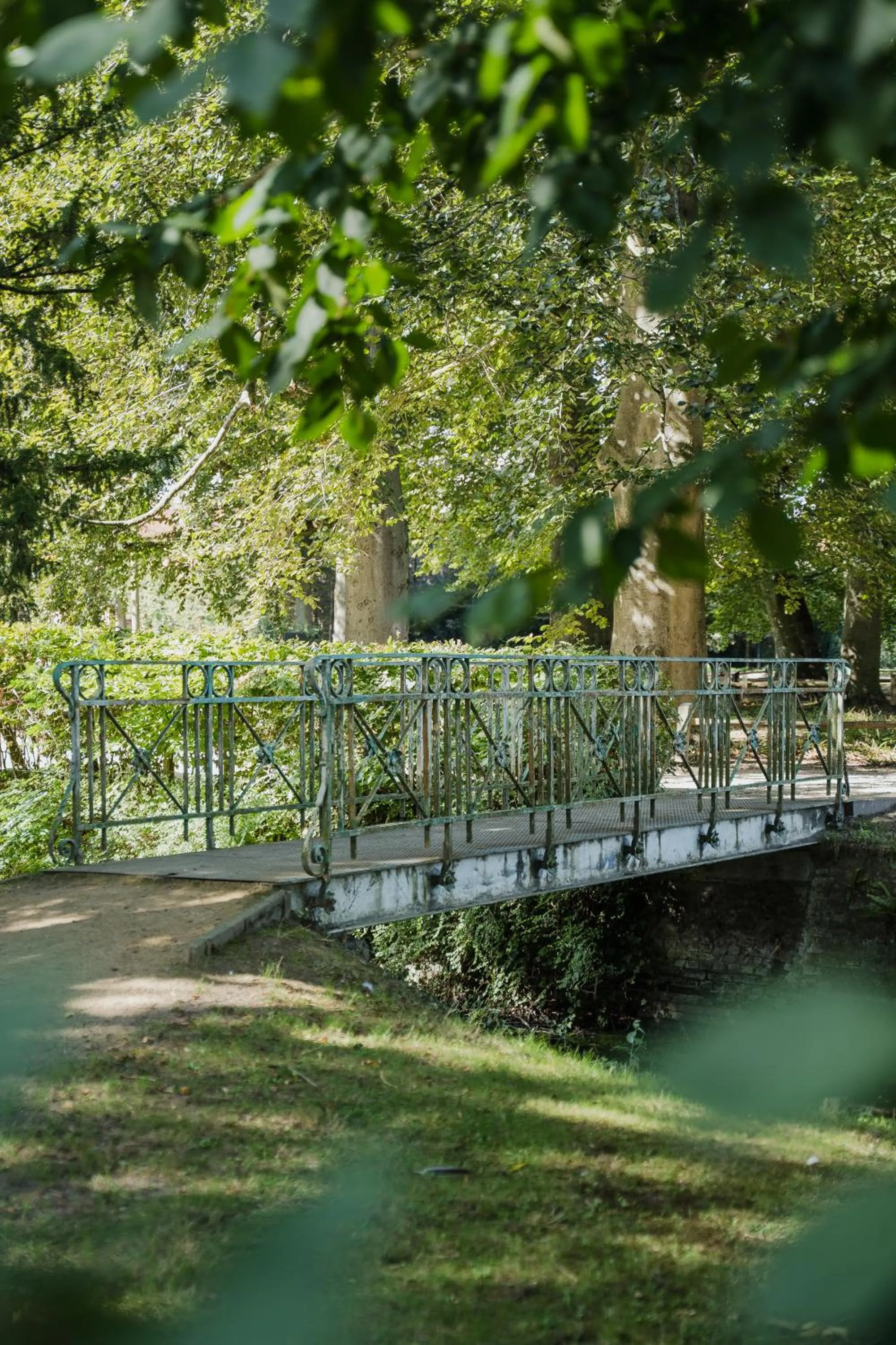 Natural landscape in Hotel T