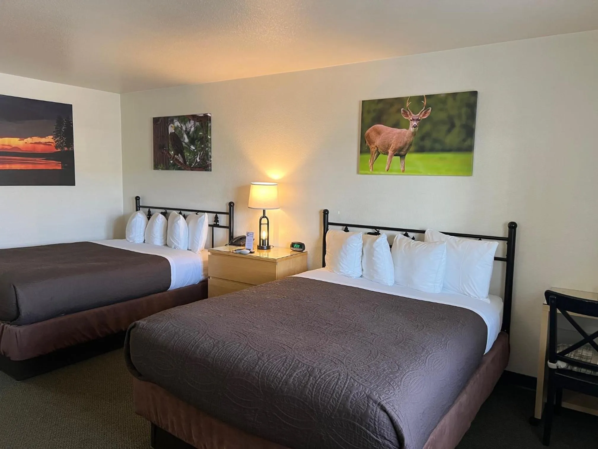 Bed in Antlers Inn