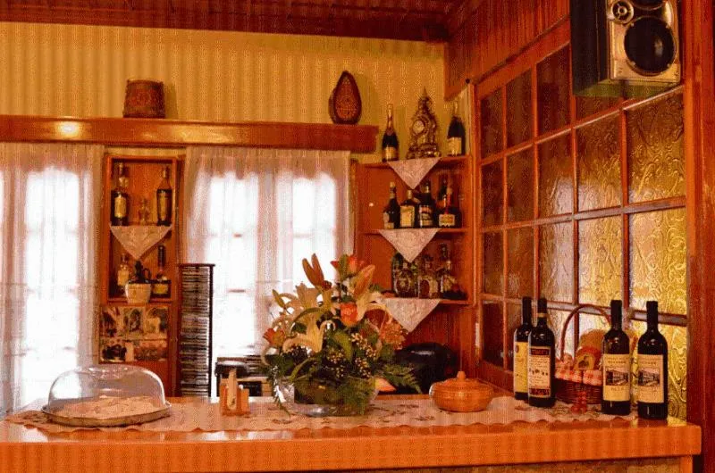 Lounge or bar in Hotel Apollon