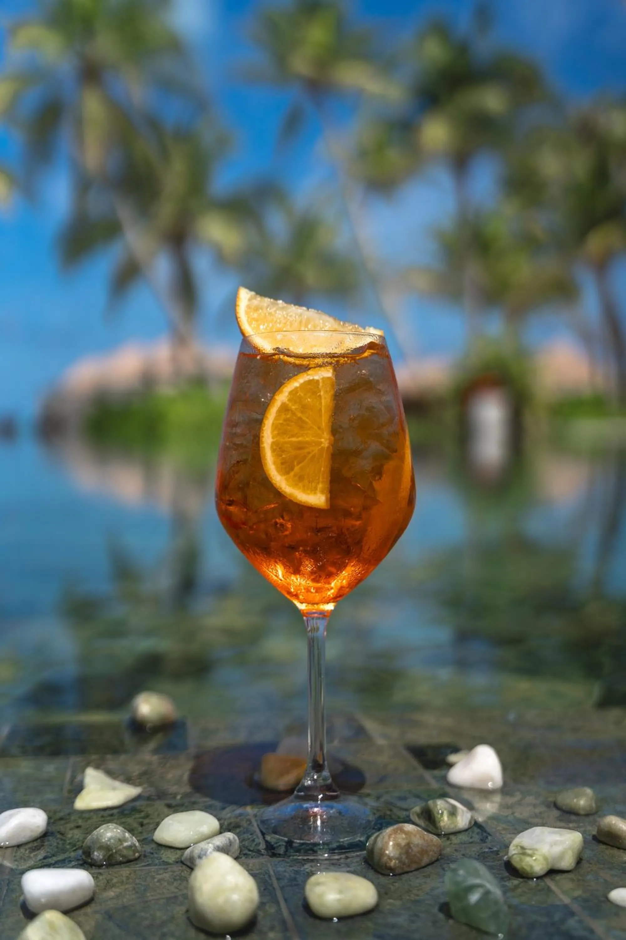 Alcoholic drinks in Barceló Whale Lagoon Maldives