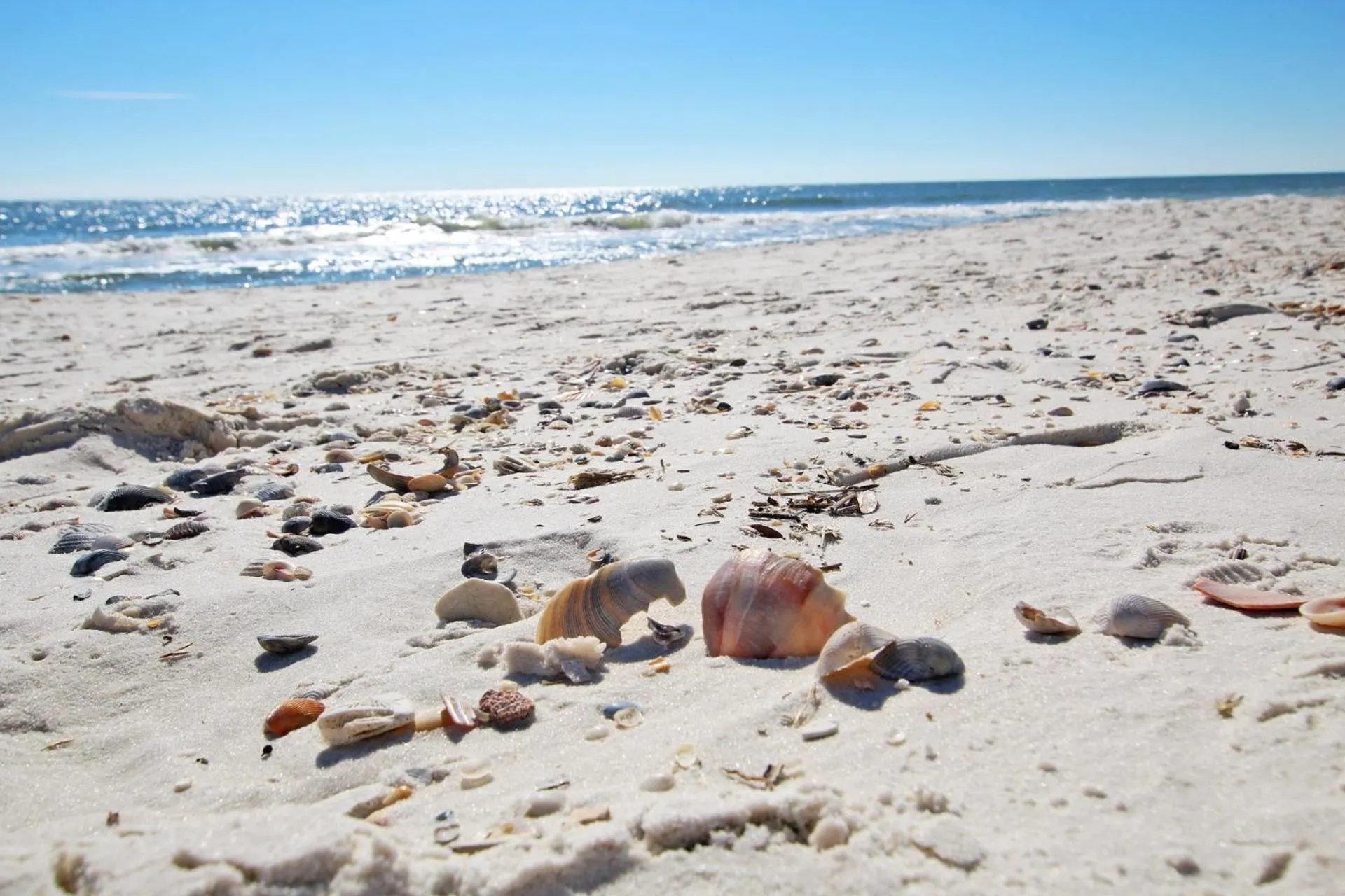 Sanibel 907 by Youngs Suncoast