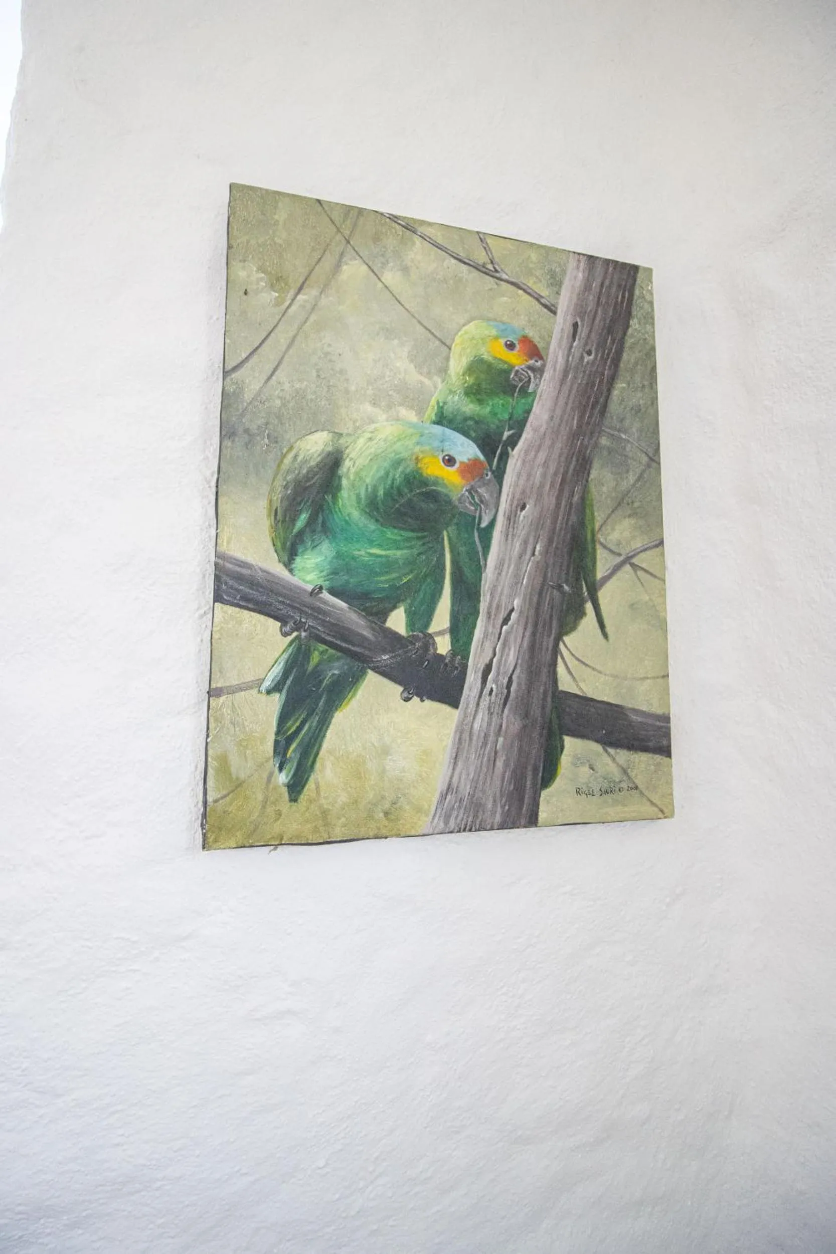 Decorative detail in Hotel Ak'Na Holbox