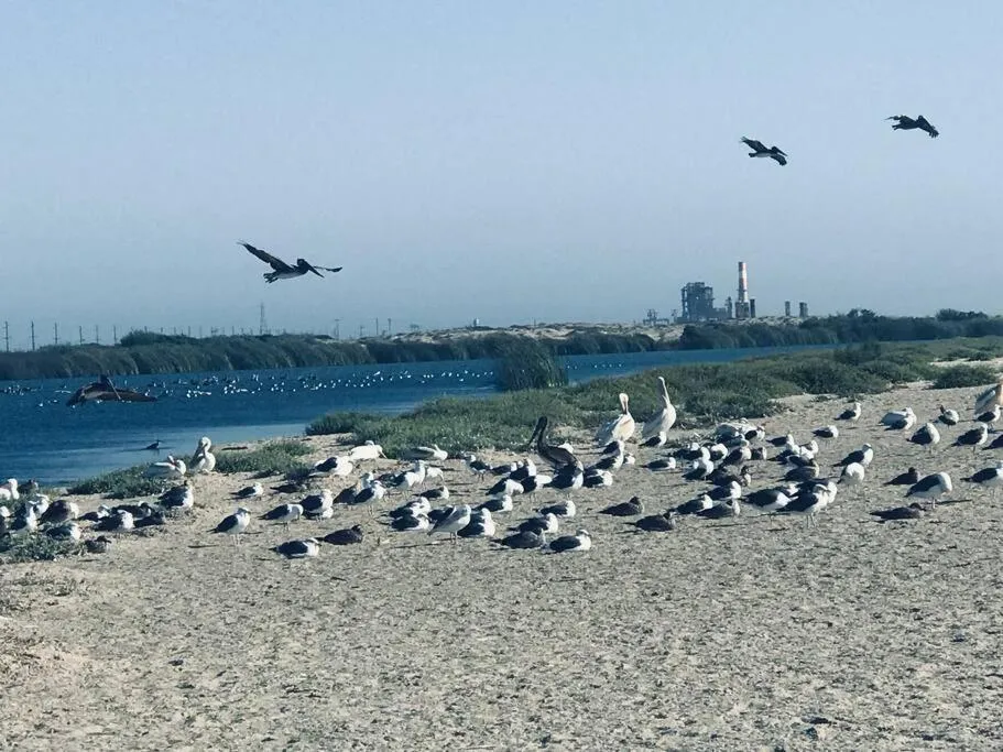 Day in Romantic Coastal Private Room