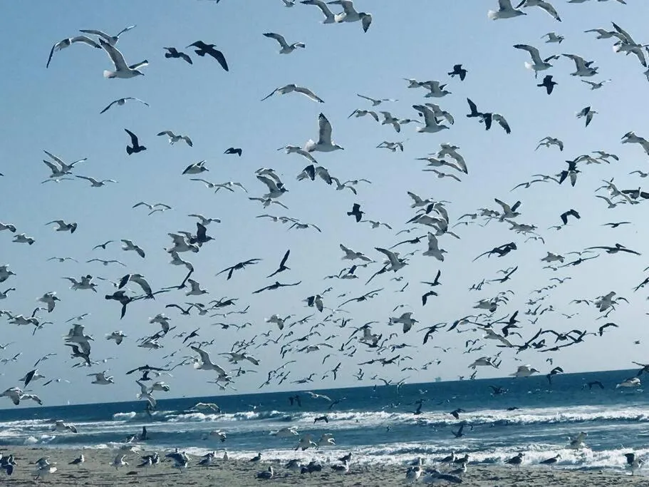 Day in Romantic Coastal Private Room