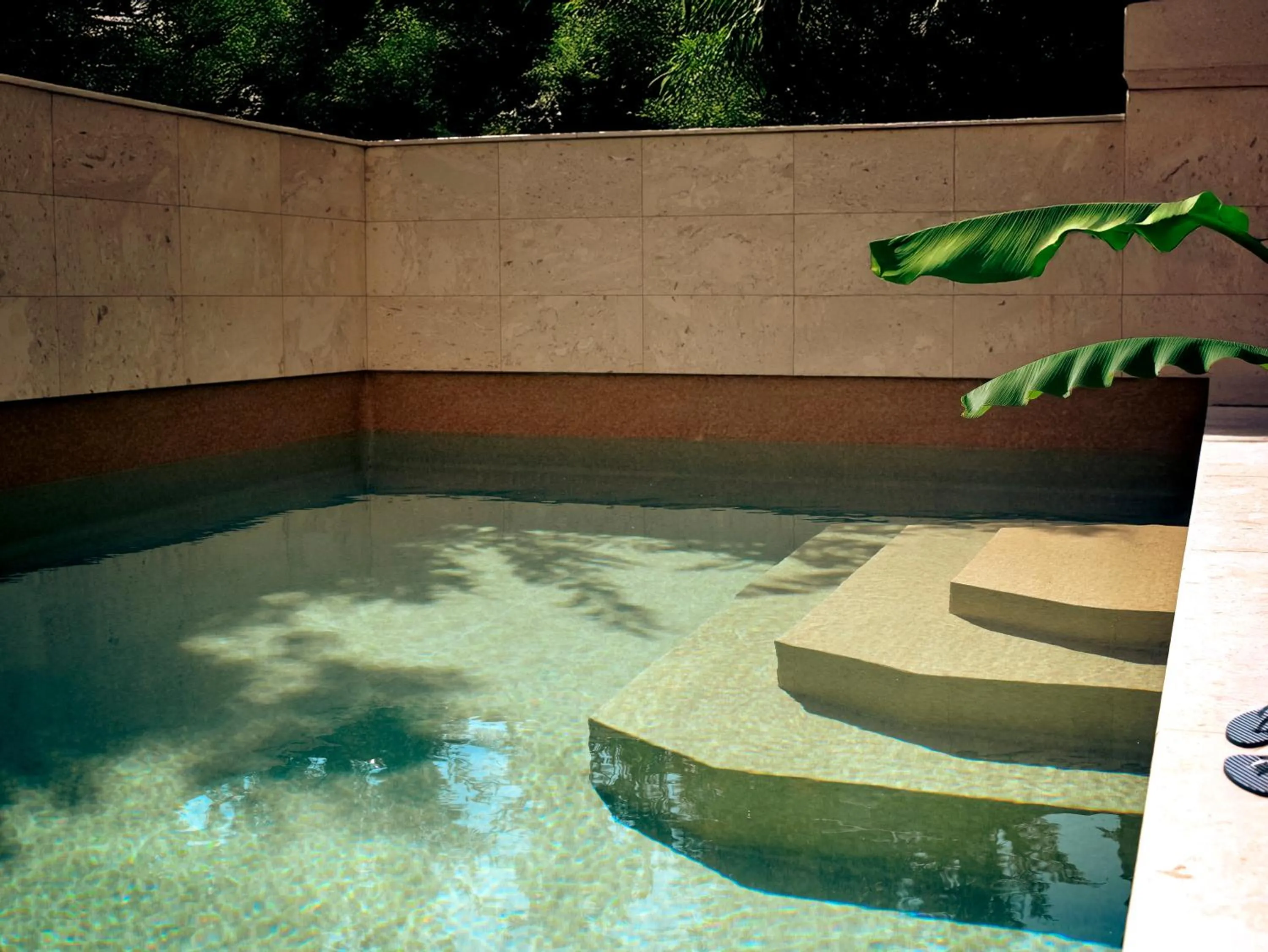 Zeus Thessaloniki Lazart