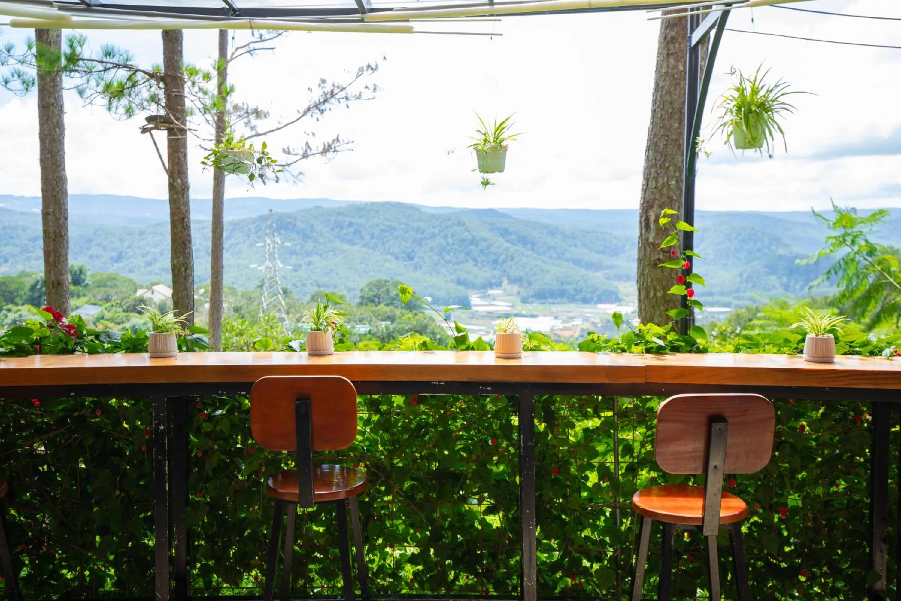 Mountain view in Omirita Resort Dalat