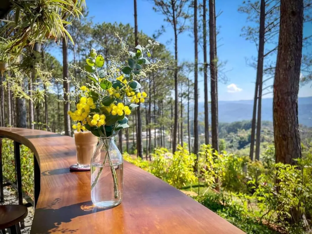 Restaurant/places to eat in Omirita Resort Dalat