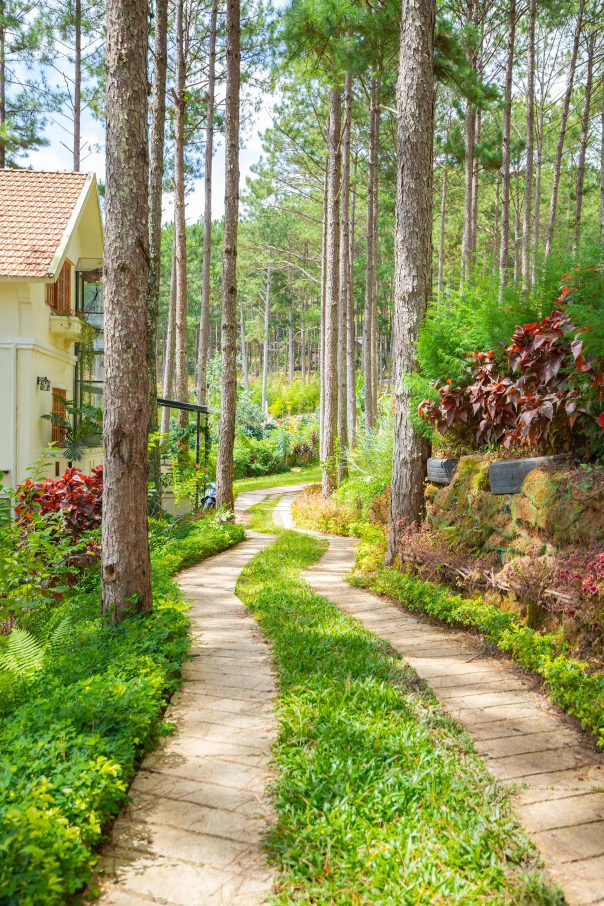 Natural landscape in Omirita Resort Dalat