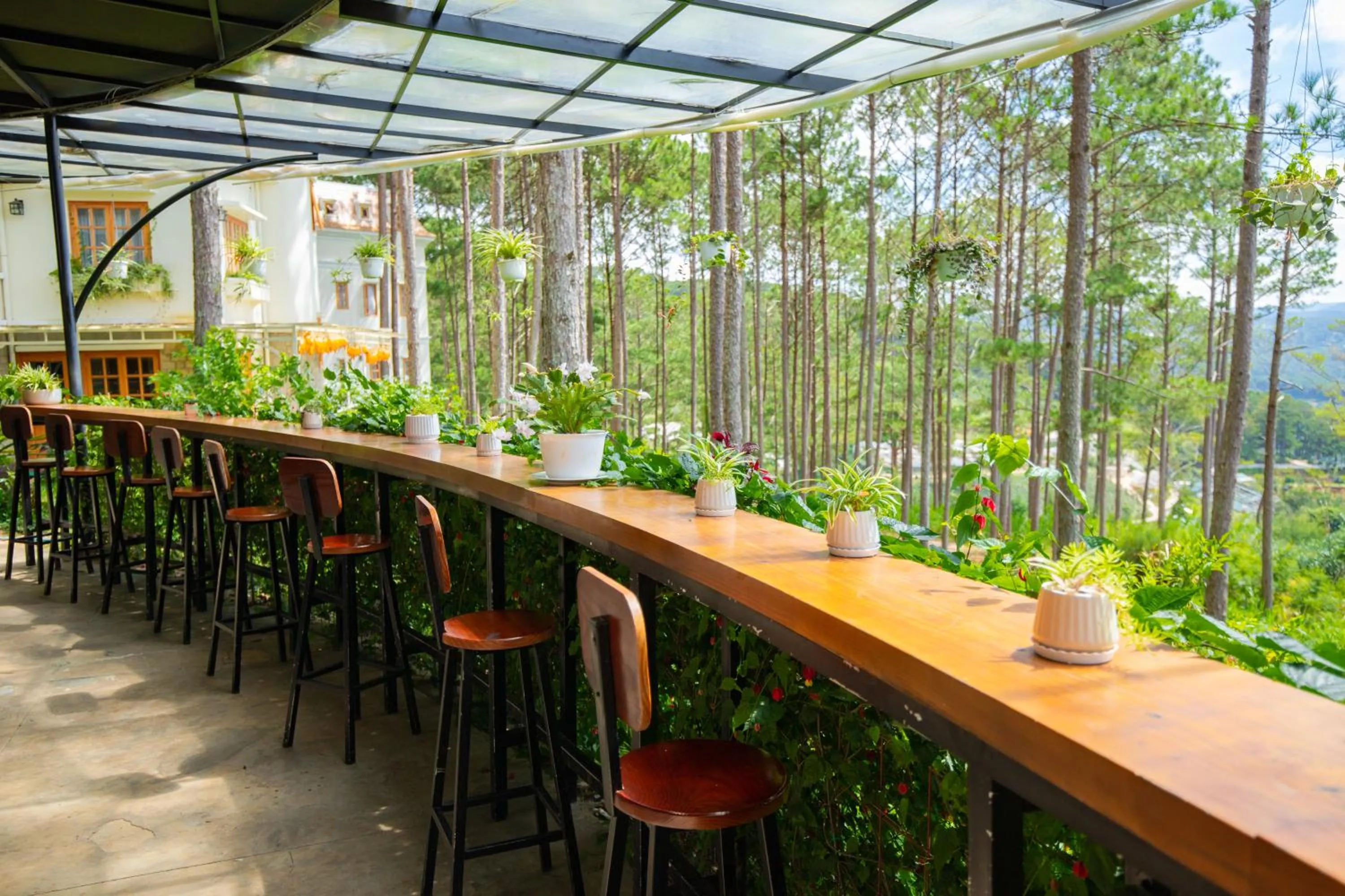 View (from property/room) in Omirita Resort Dalat