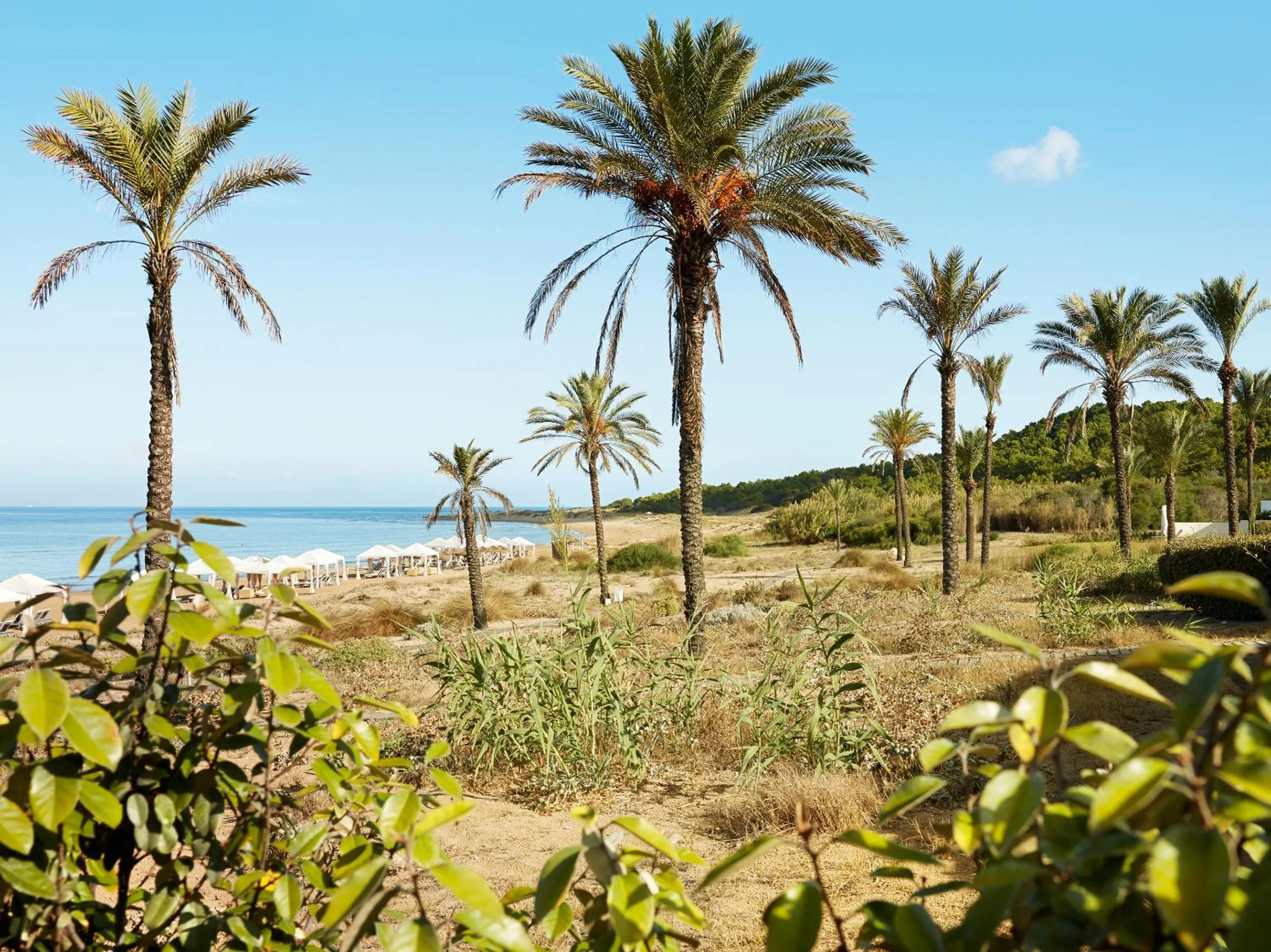 Natural landscape in Mandola Rosa at Riviera Olympia, A Grecotel Resort to Live