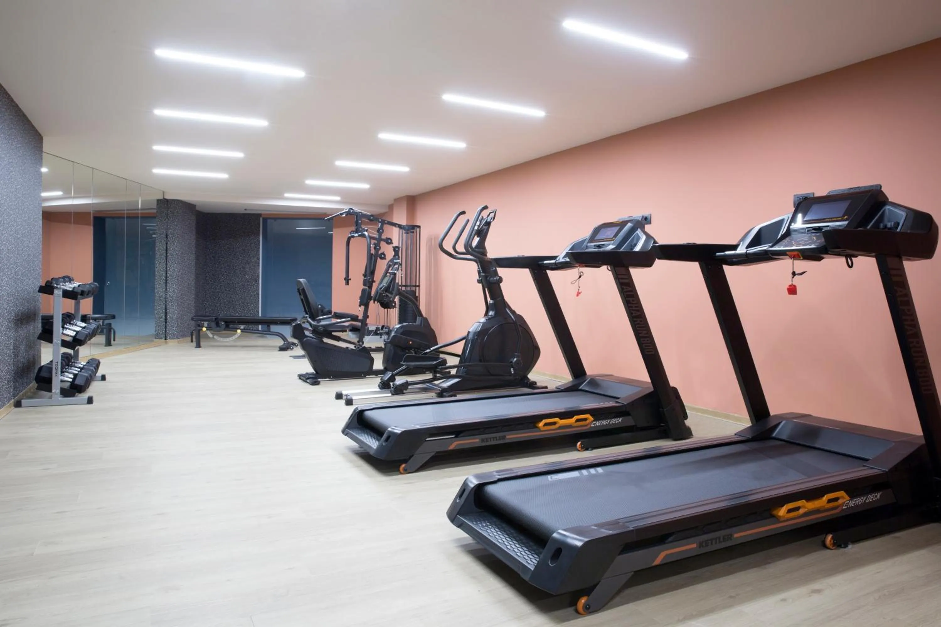 Fitness centre/facilities in Zeus Dolce by Wyndham Athens