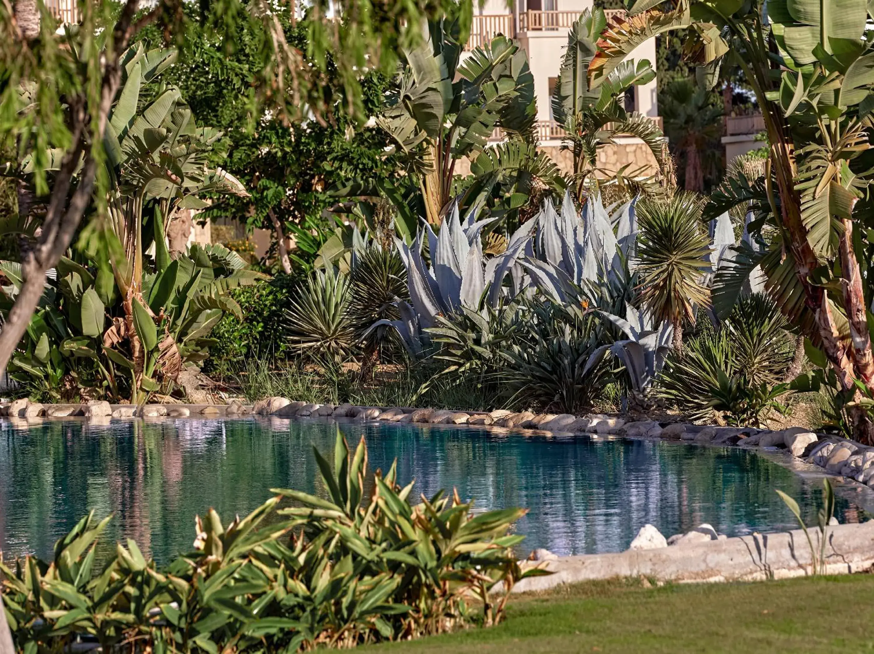Bungalow Garden View in Grecotel Kos Imperial Bungalow Garden View in Grecotel Kos Imperial