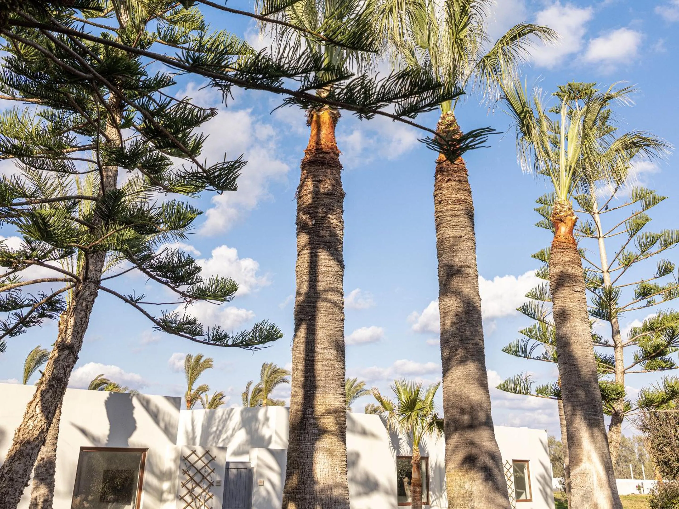 Natural landscape in Amirandes, A Grecotel Resort to Live