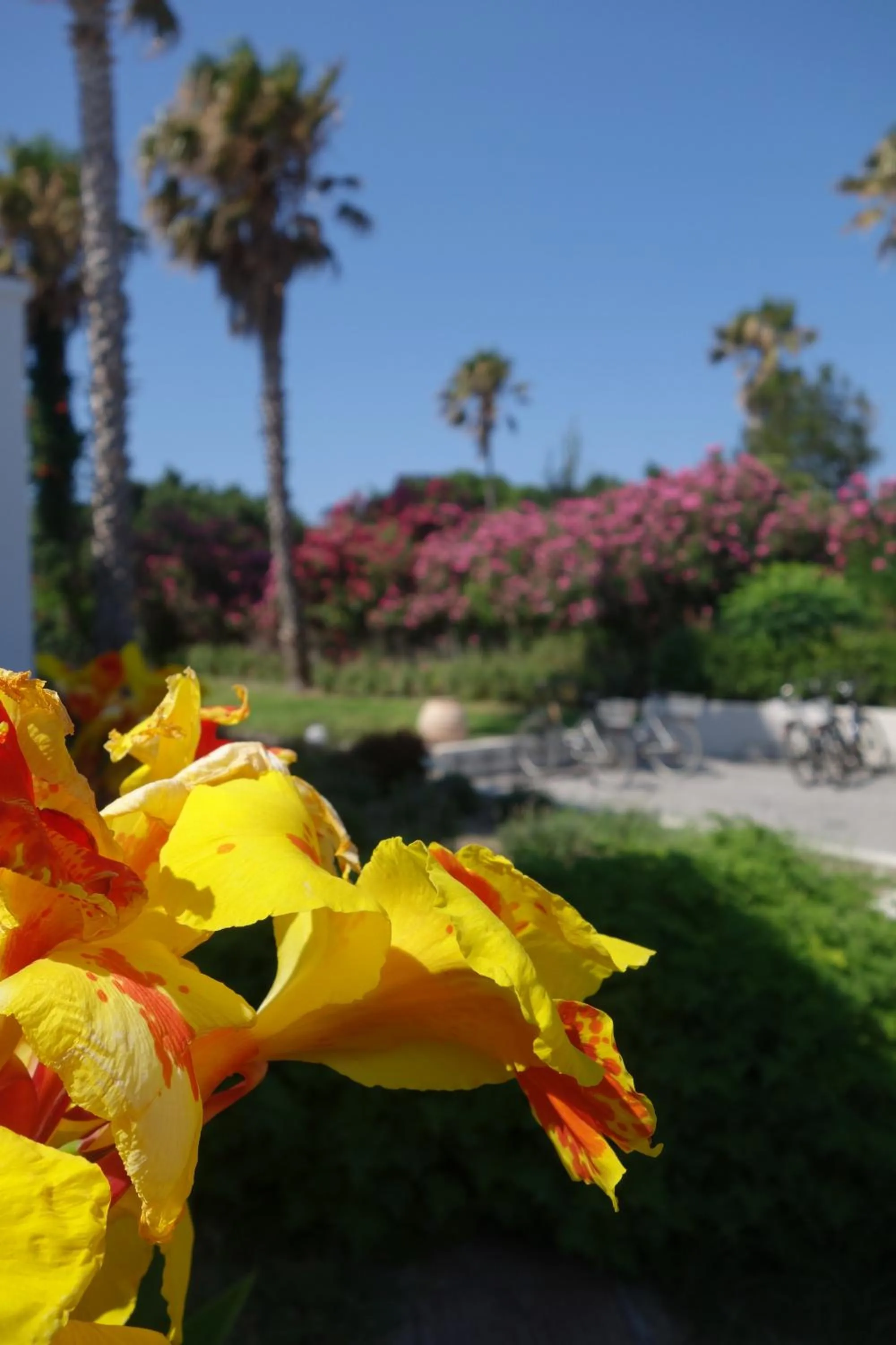 Other in Andromeda Hotel Apartments