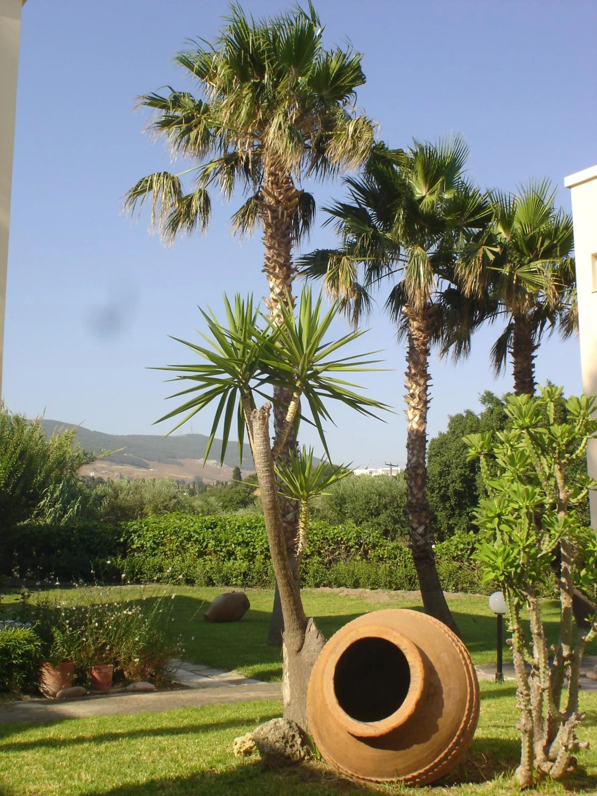 Other in Andromeda Hotel Apartments