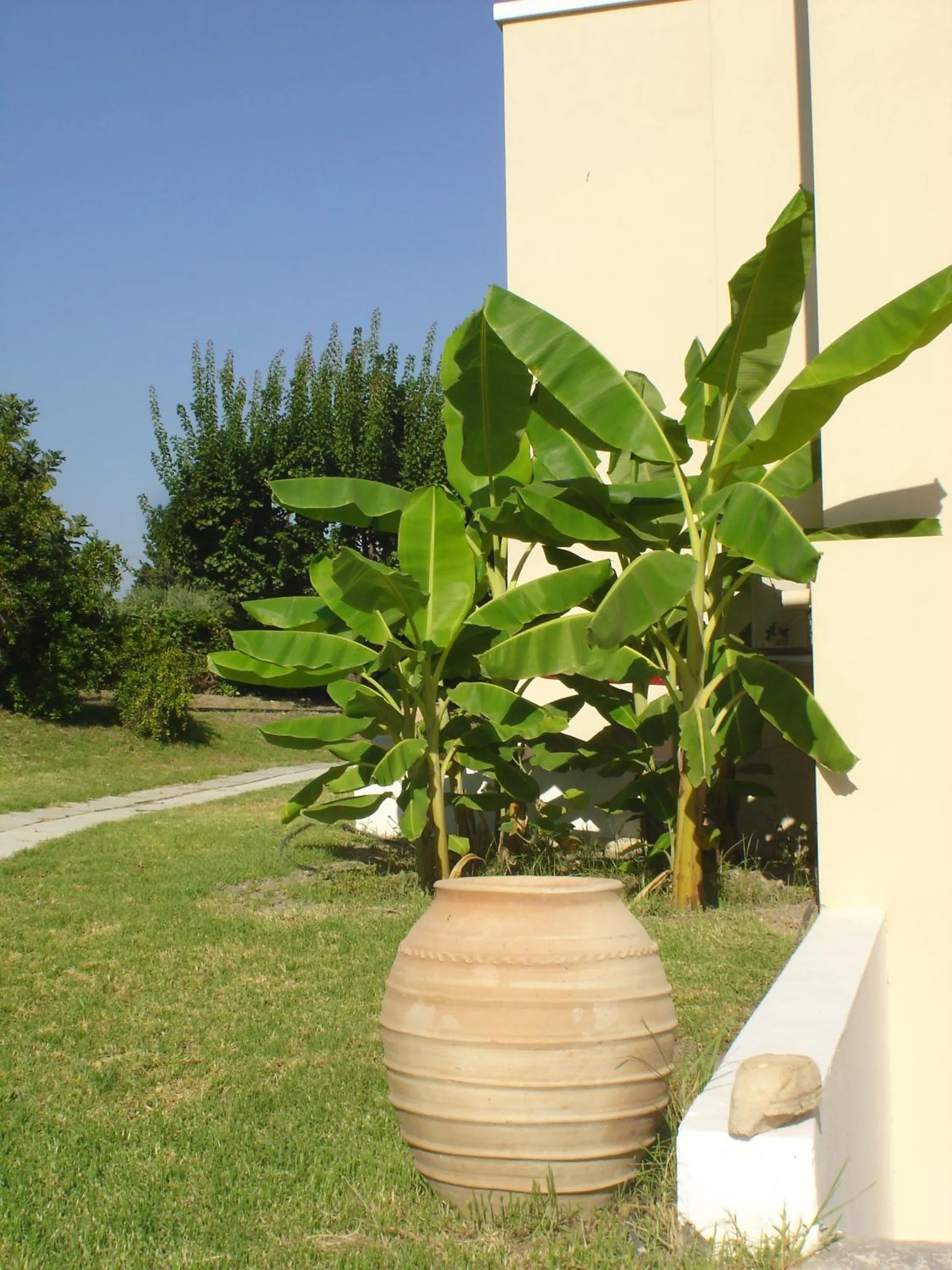 View (from property/room) in Andromeda Hotel Apartments