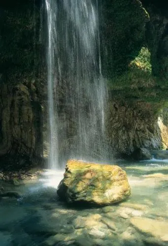 Area and facilities in Hotel Elvetia