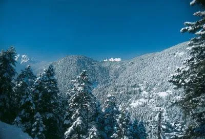 Area and facilities in Hotel Elvetia