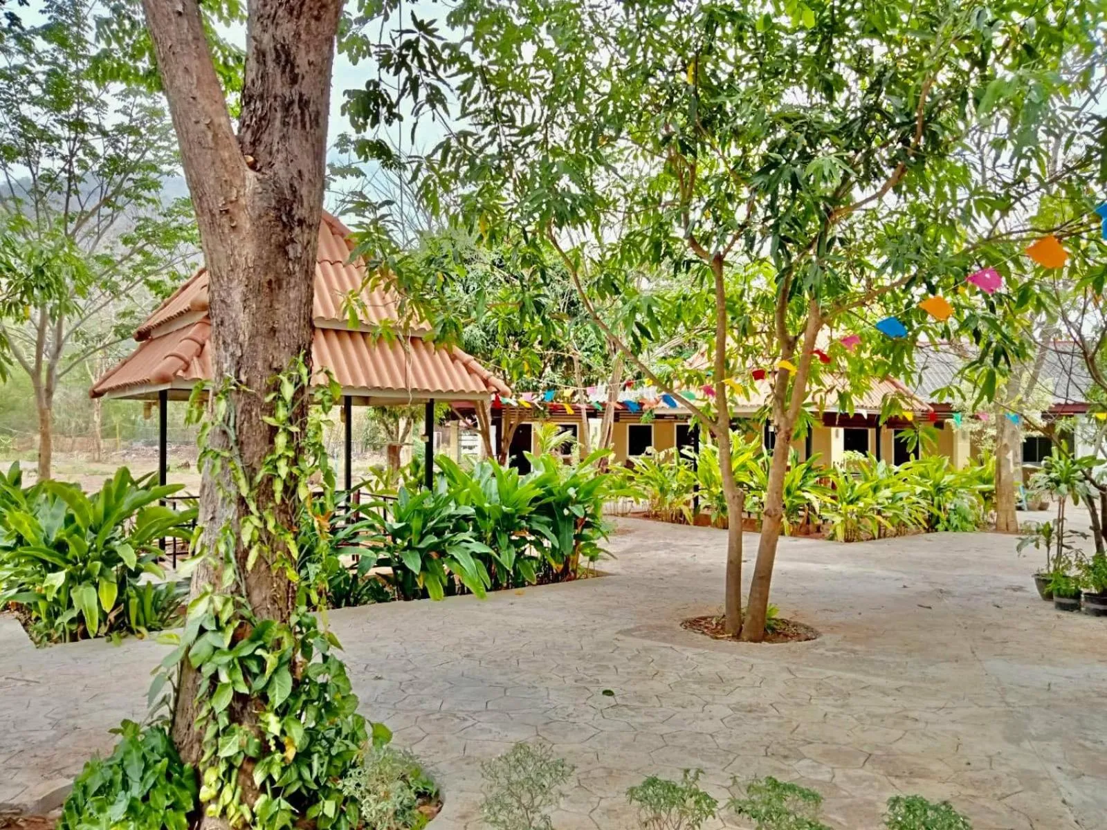 Spring in Erawan Guesthouse