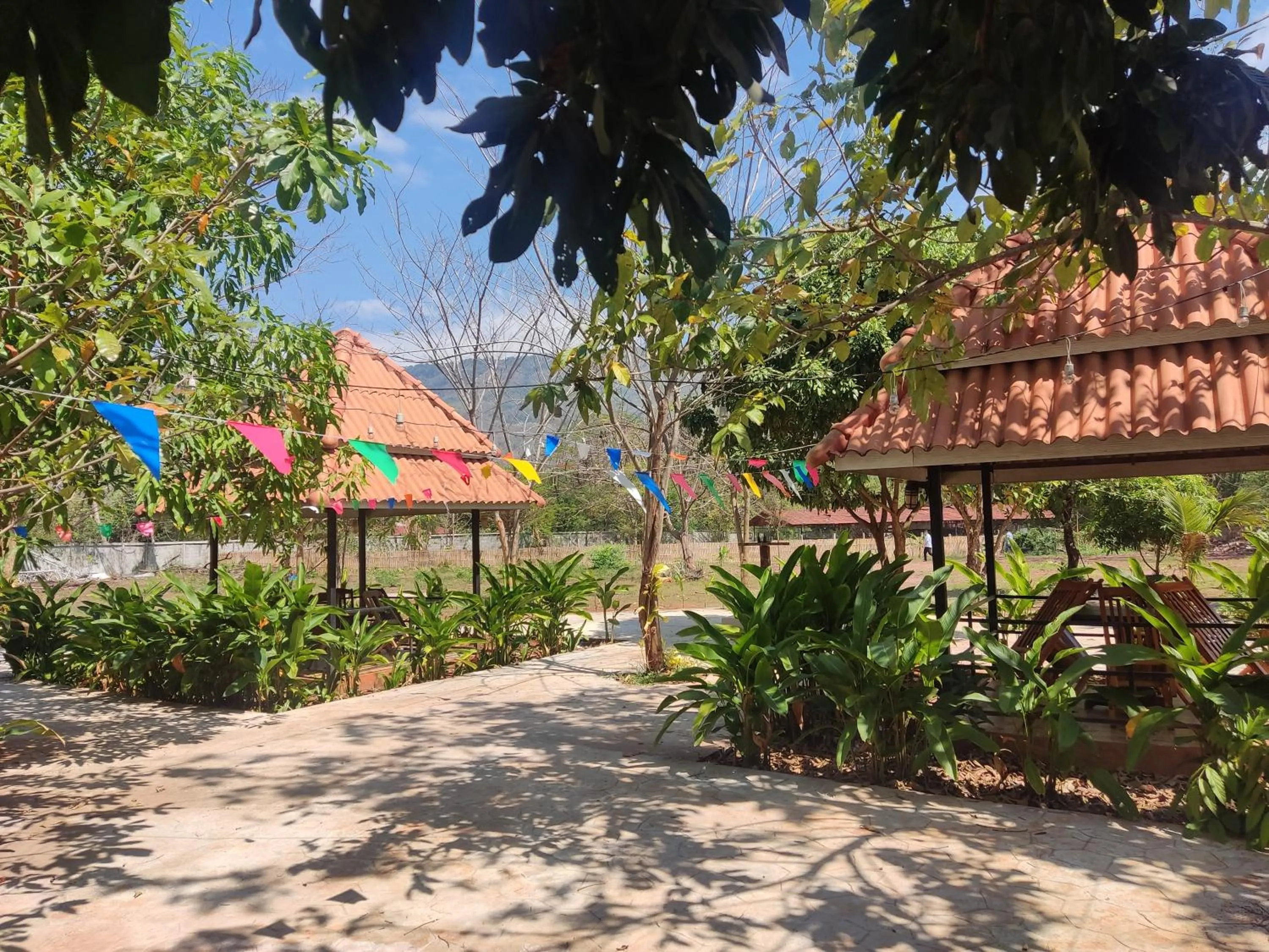 Spring in Erawan Guesthouse