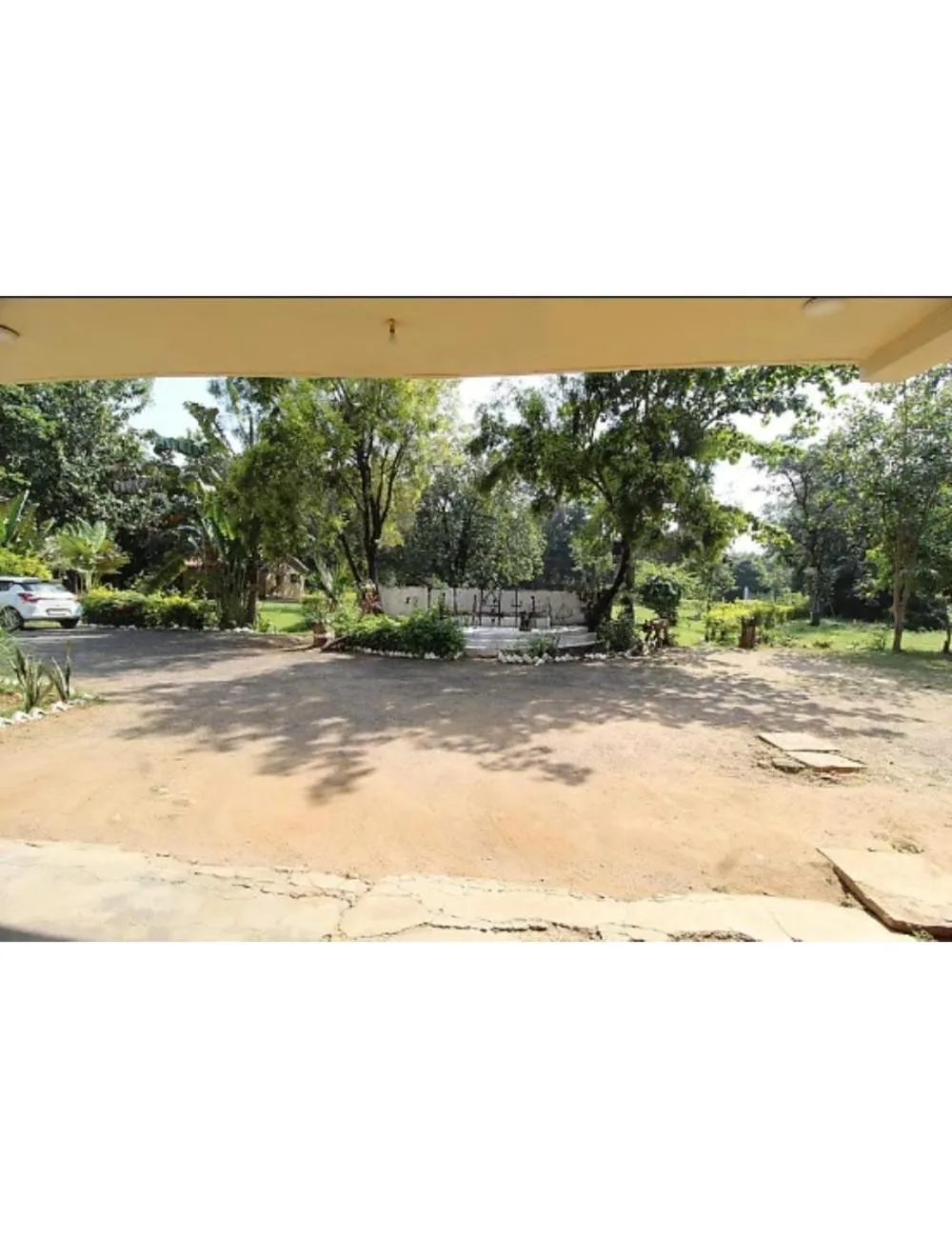 Spring in Tigers Villa, Tala Bandhavgarh