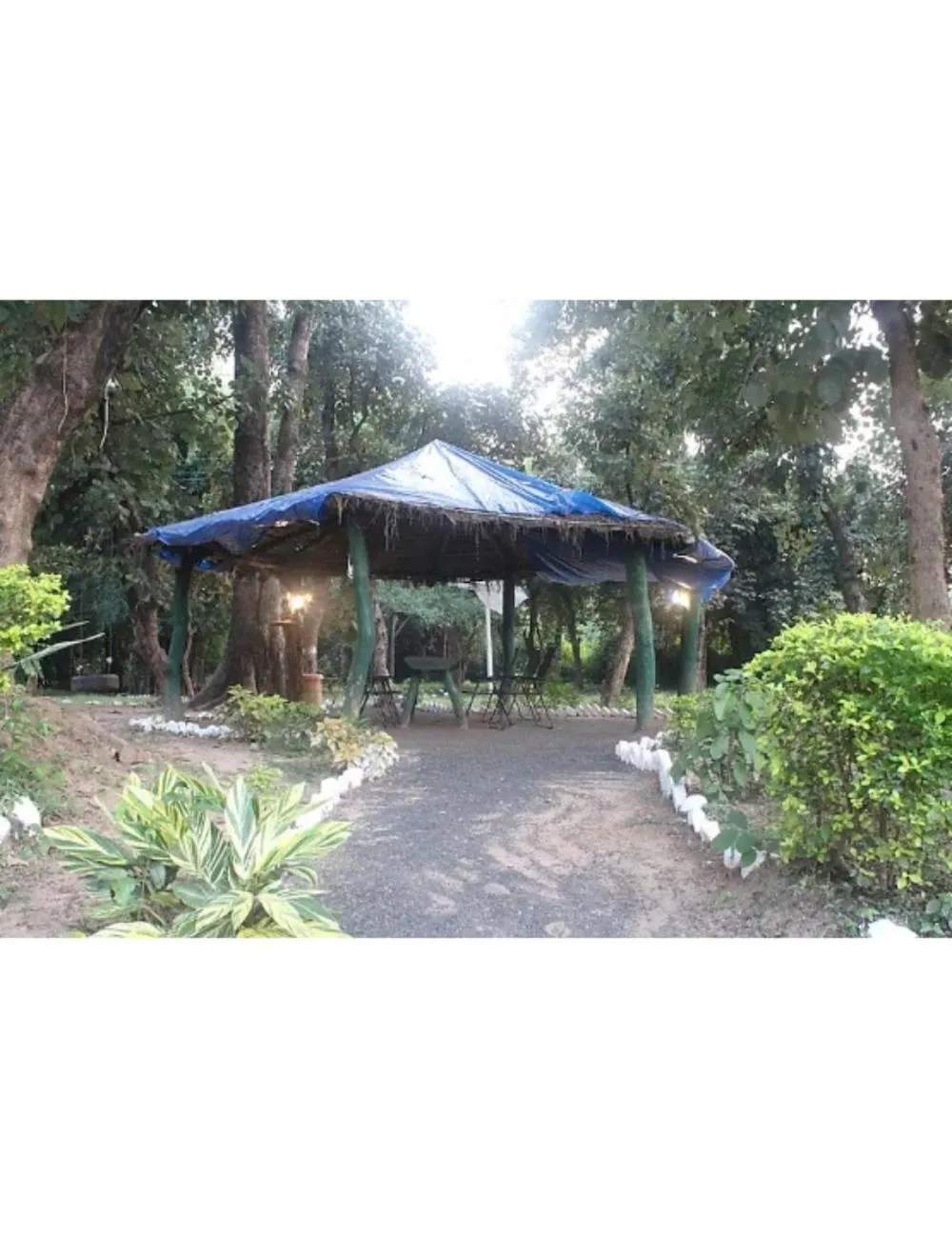 Garden view in Tigers Villa, Tala Bandhavgarh