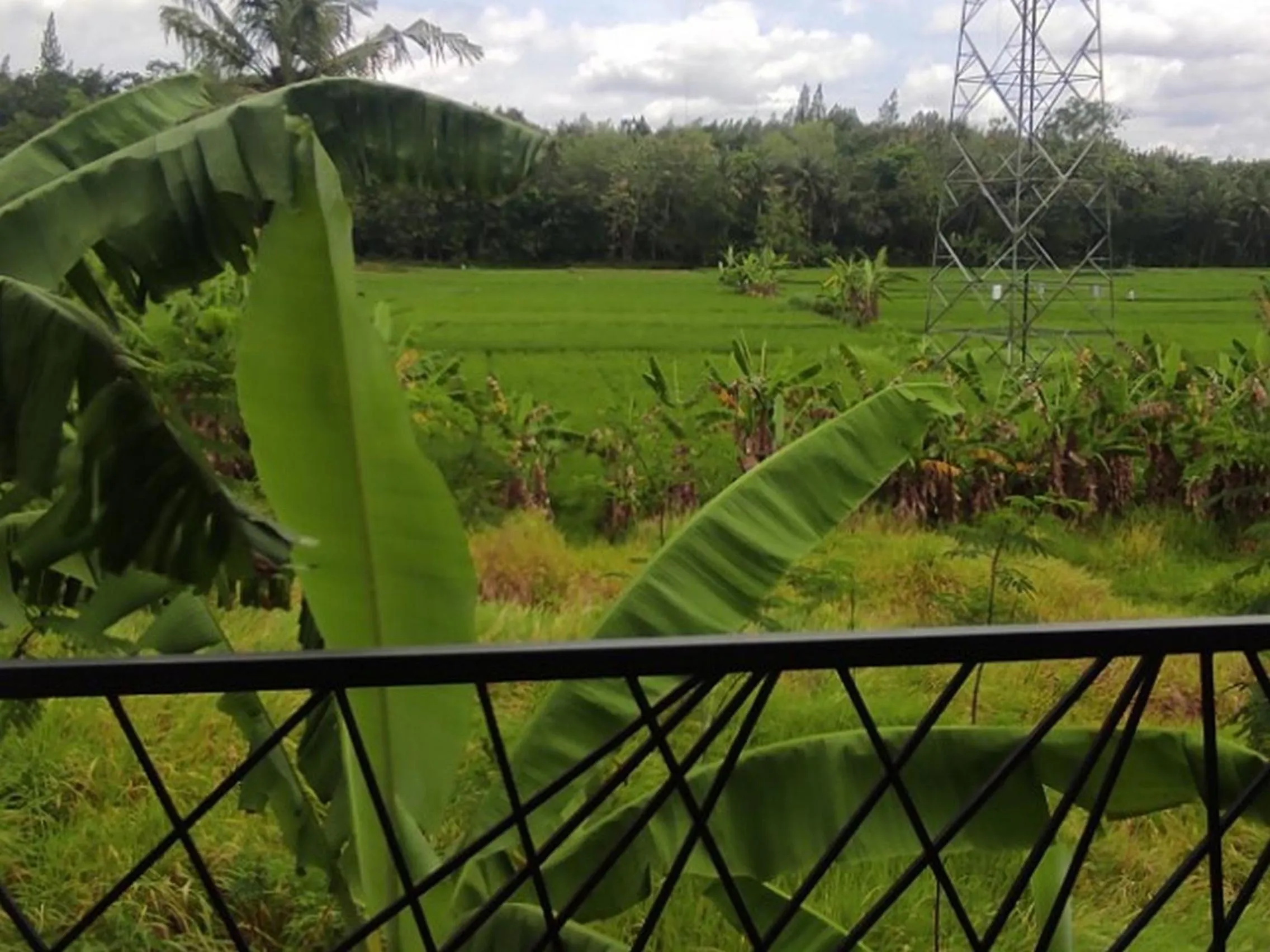 Garden in Aliandra Villa by The Lavana