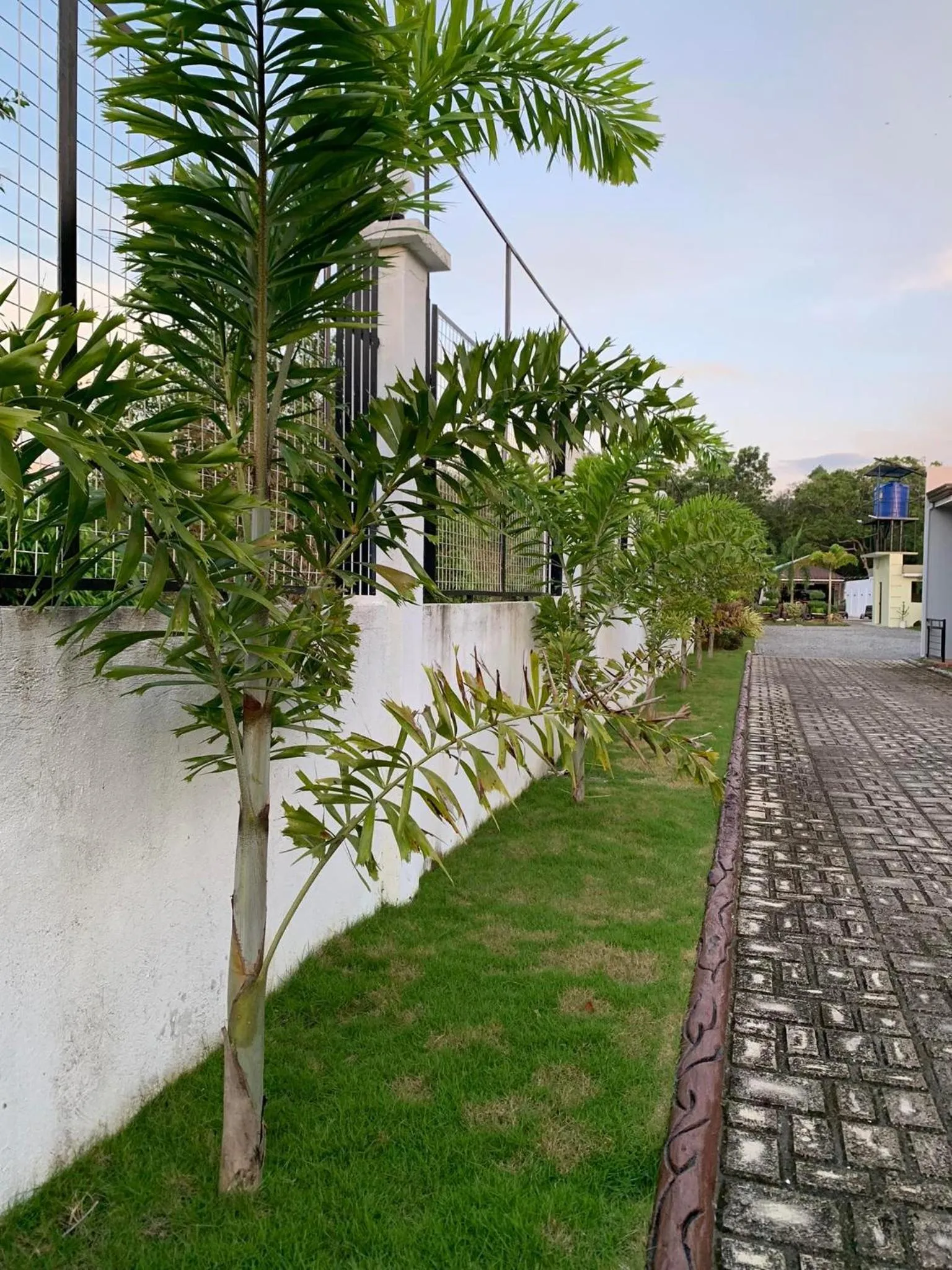 Neighbourhood in Sunshine Stay Panglao