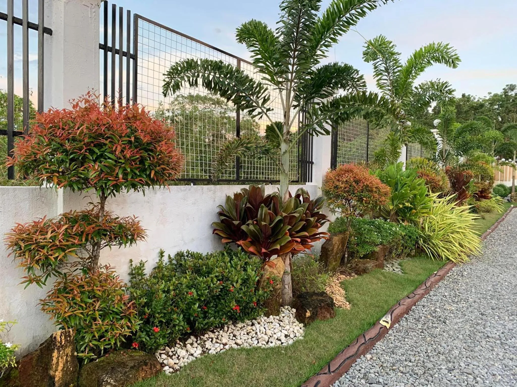 Garden in Sunshine Stay Panglao