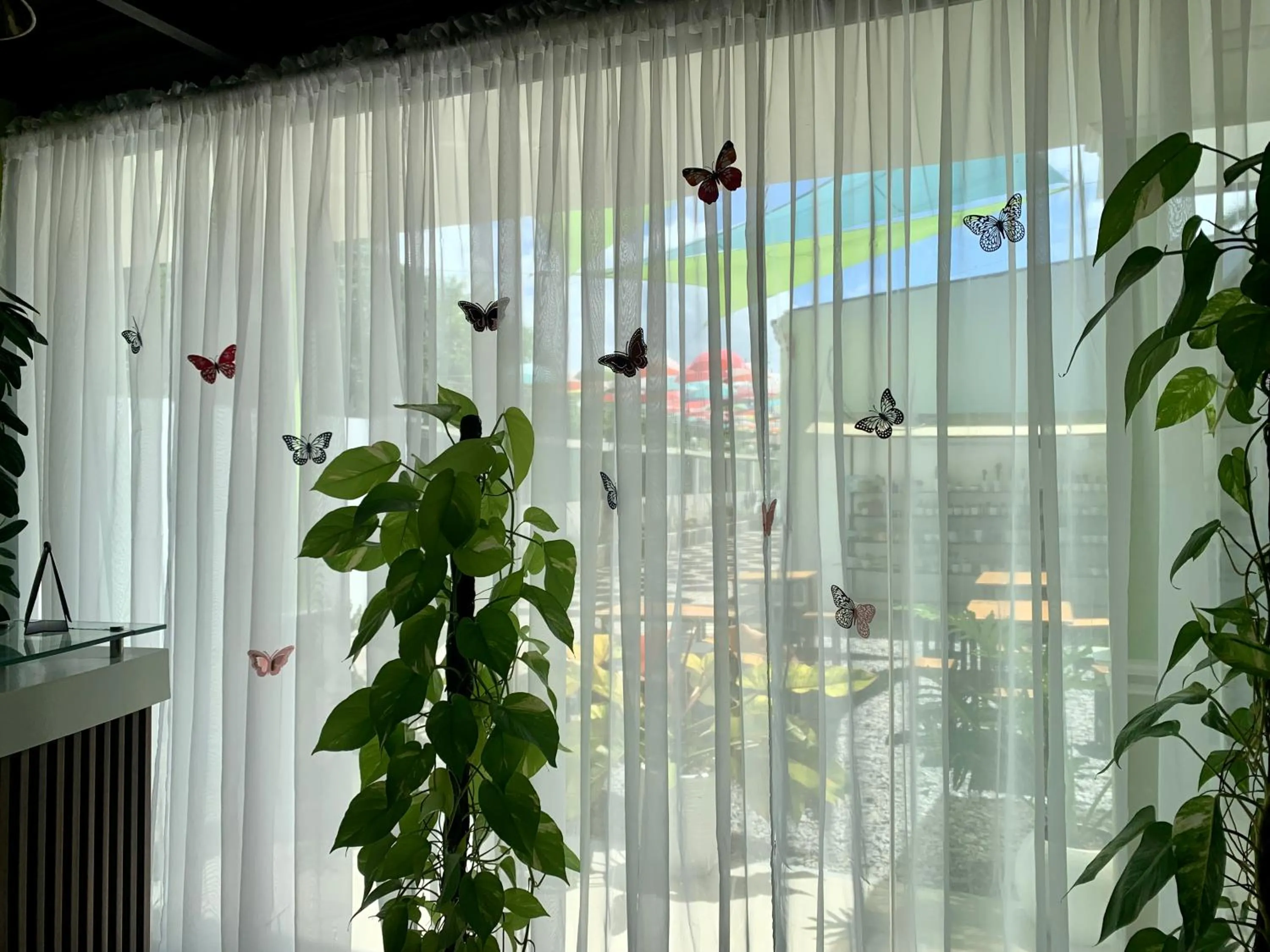 Lobby or reception in Sunshine Stay Panglao