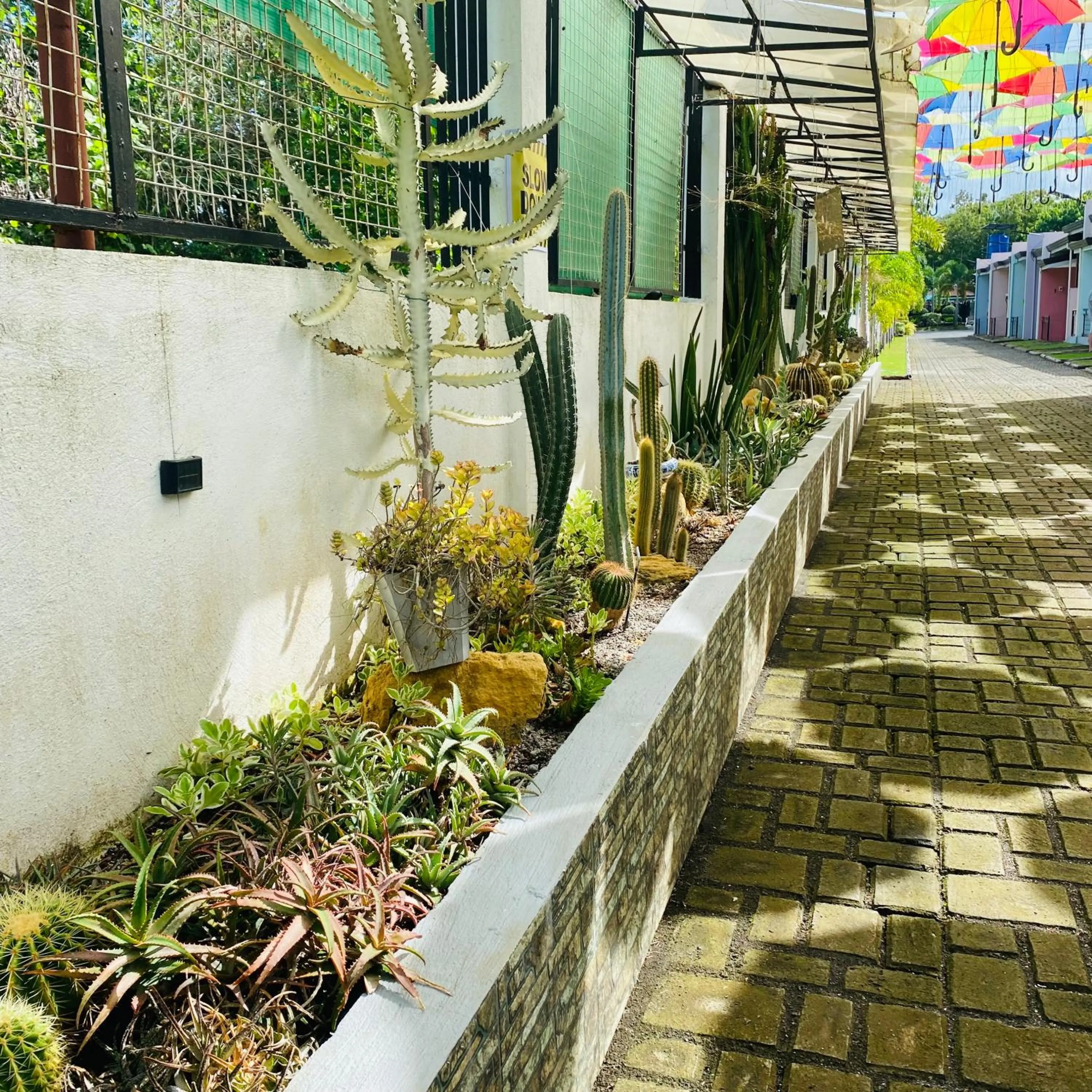 Garden in Sunshine Stay Panglao