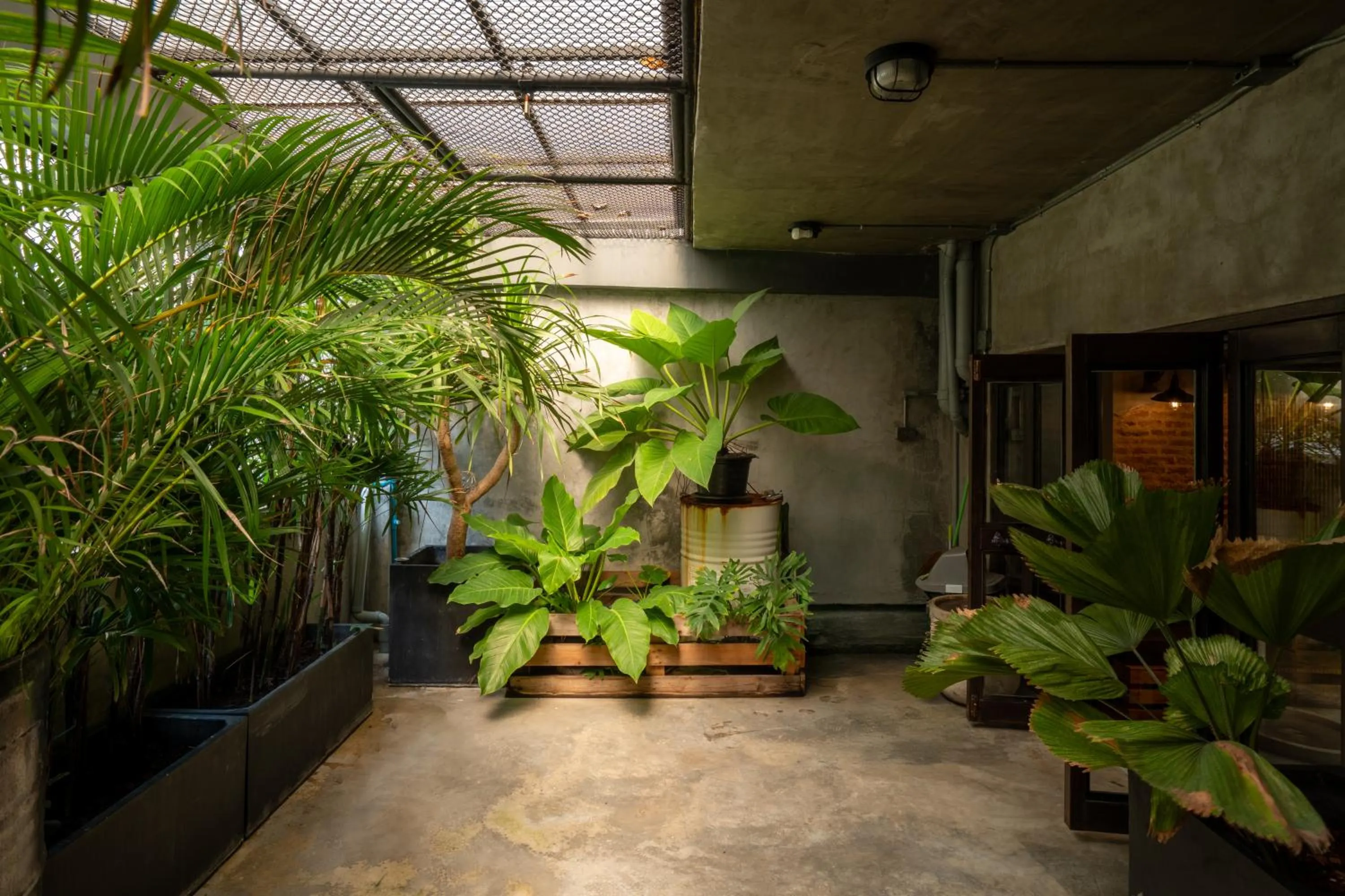 Garden in House of Machine Boutique Hotel