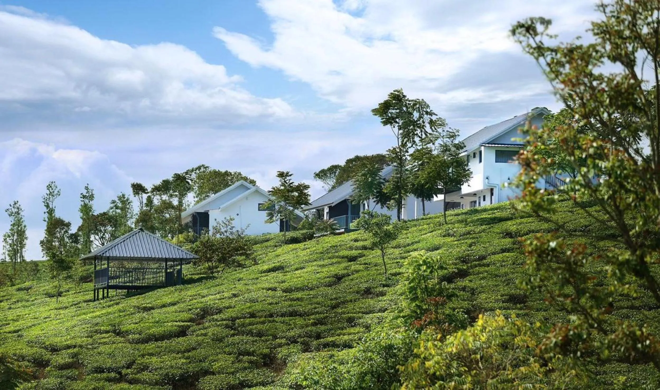 Spring in PEKOE Plantation Cottages by LexStays