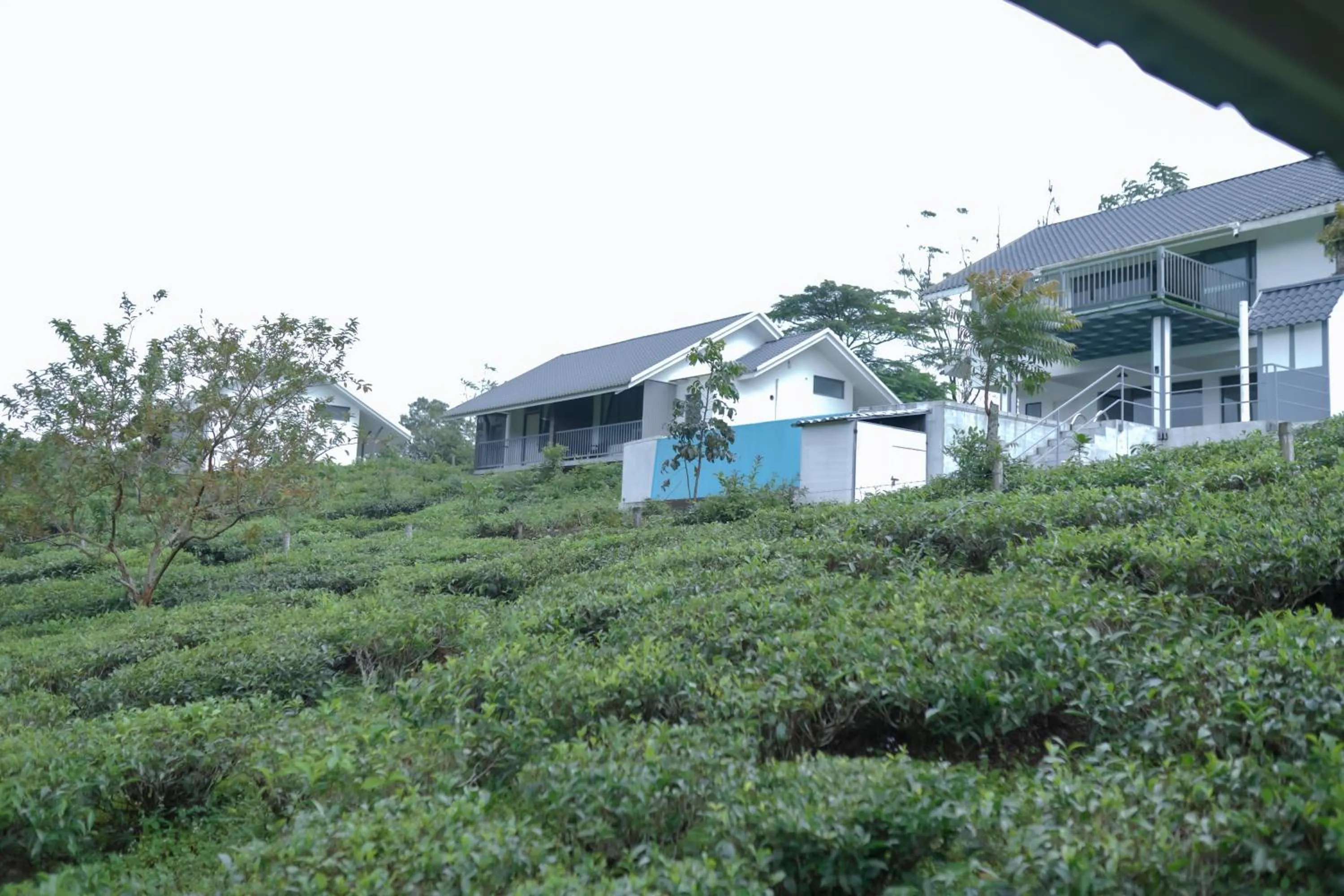 Property building in PEKOE Plantation Cottages by LexStays