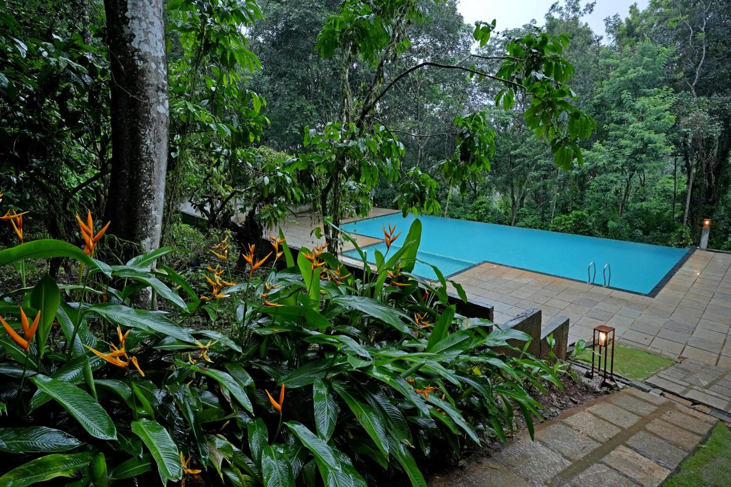 Swimming pool in Coffee Acres Resort