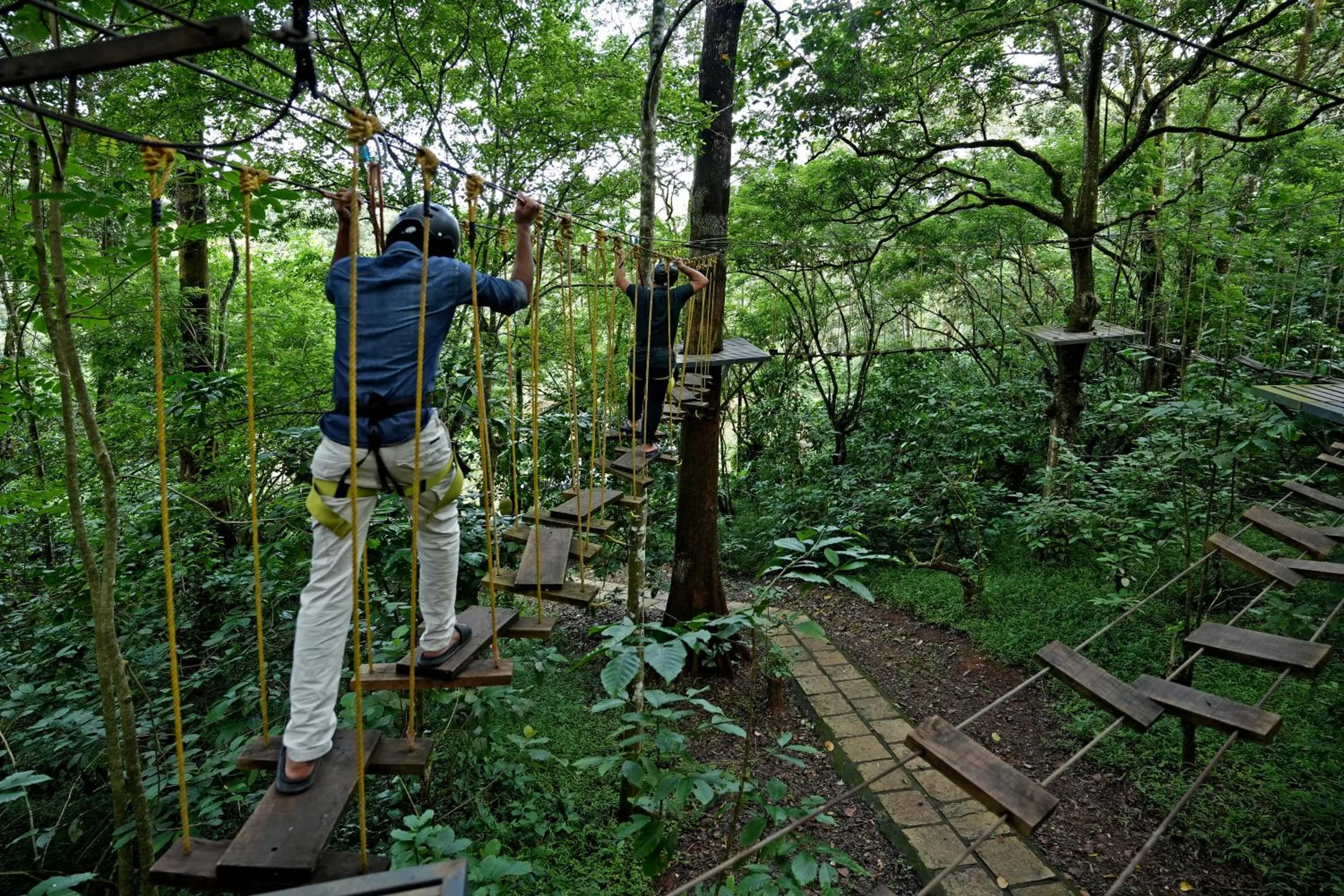 Activities in Coffee Acres Resort