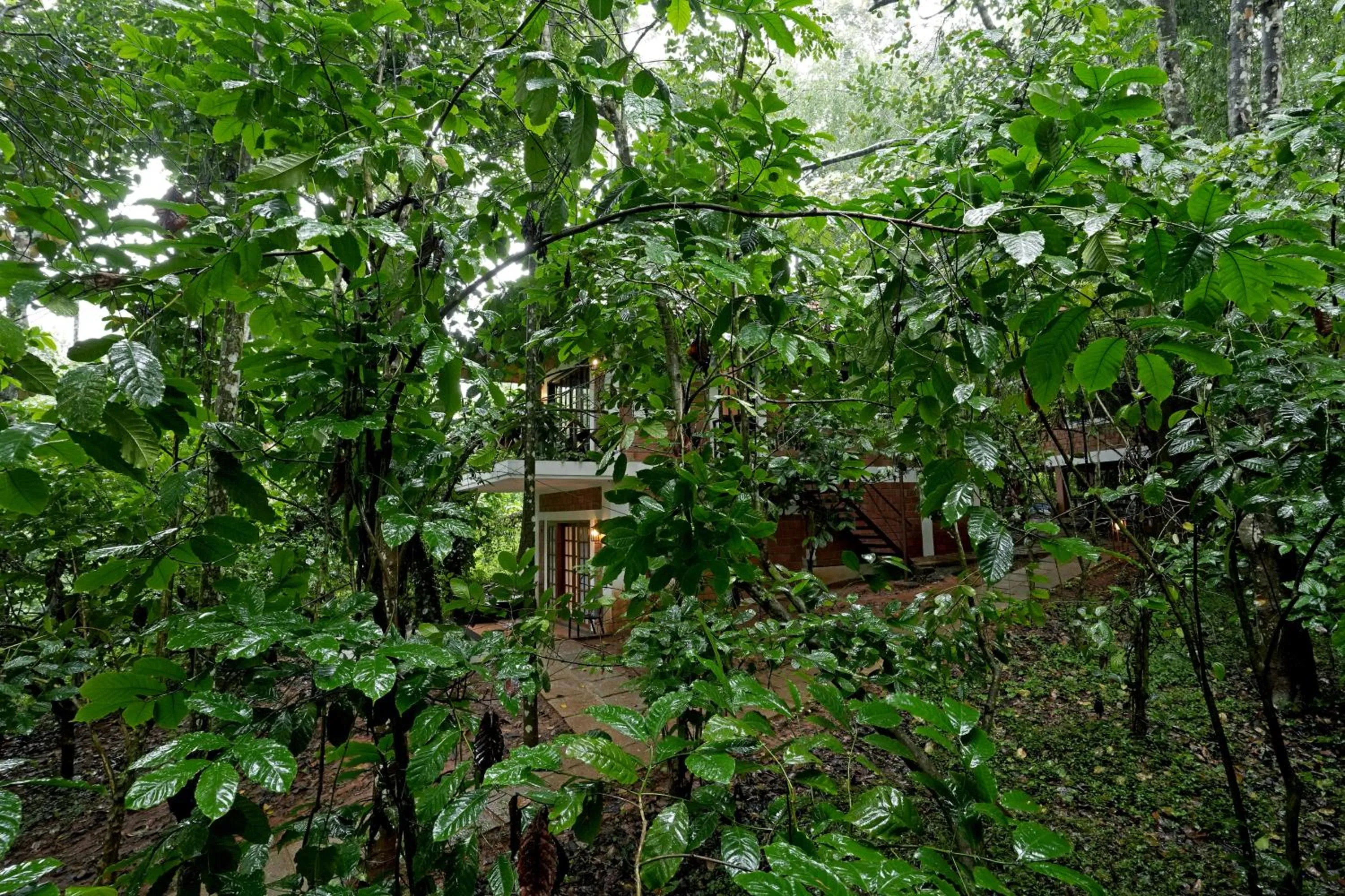 Property building in Coffee Acres Resort