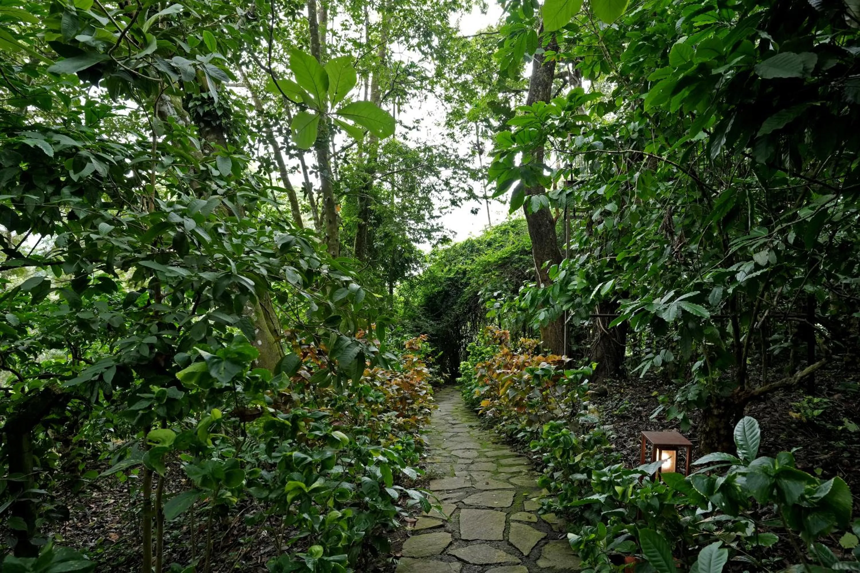 Day in Coffee Acres Resort