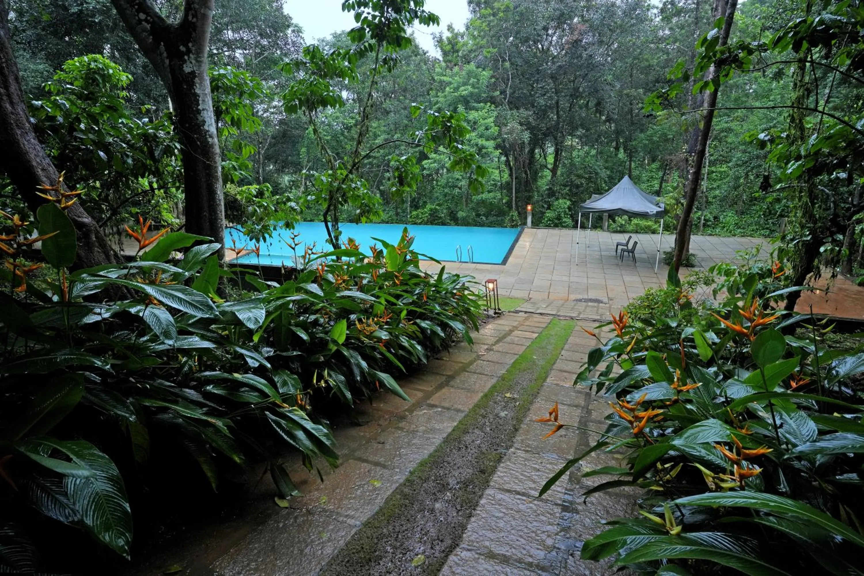 Swimming pool in Coffee Acres Resort