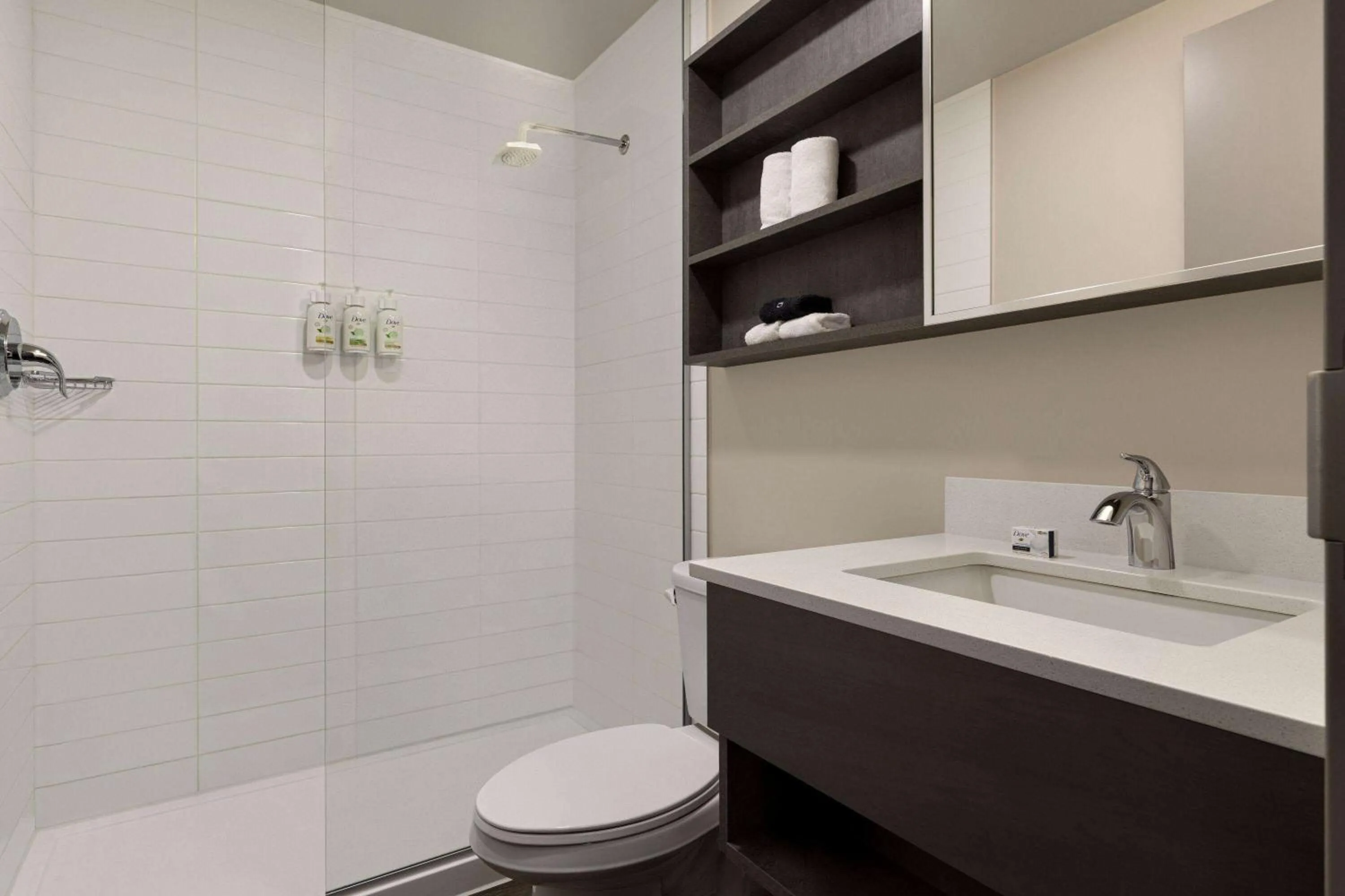 Bathroom in Microtel Inn & Suites by Wyndham Boisbriand