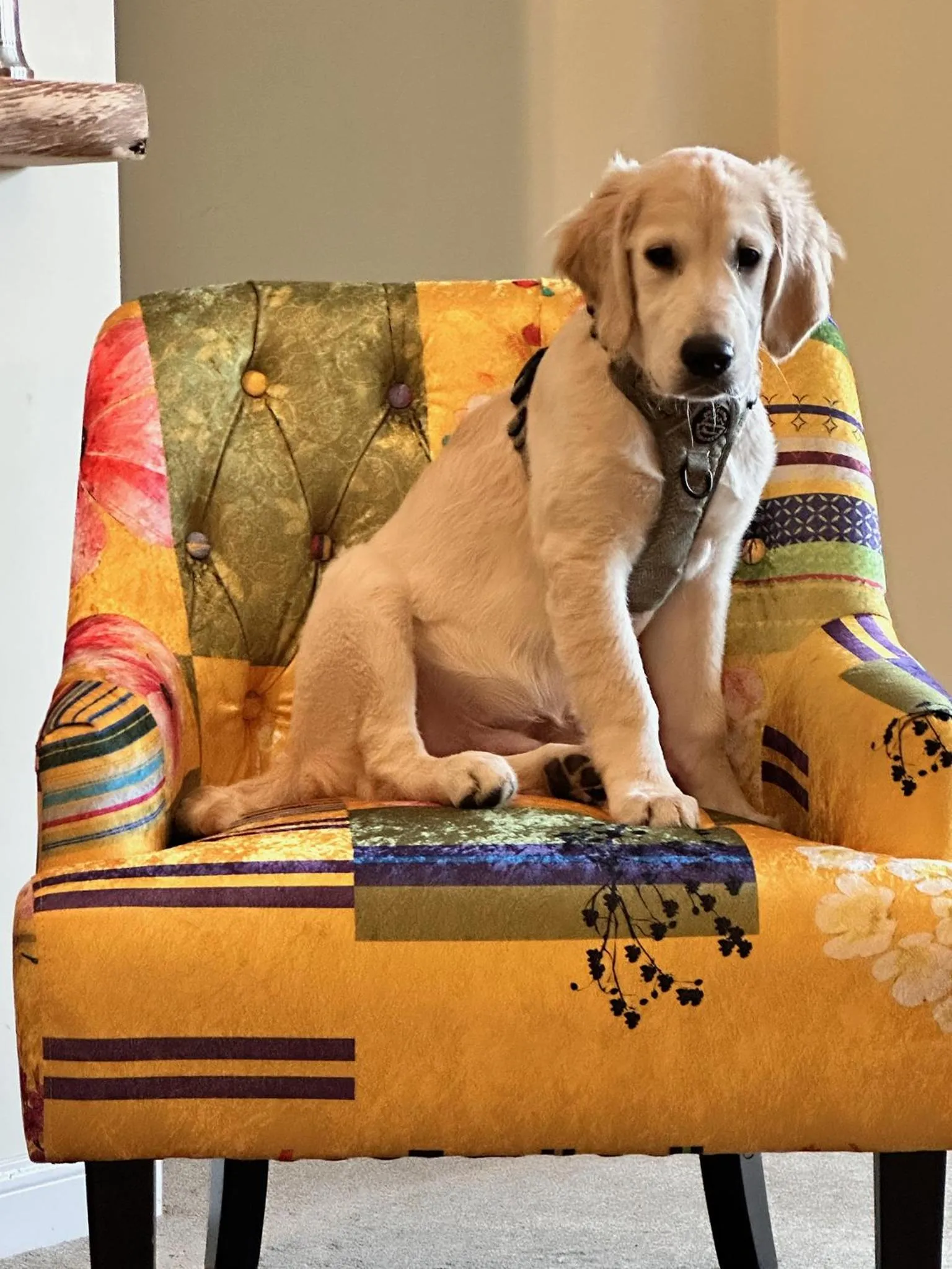 Other in Forces Manor