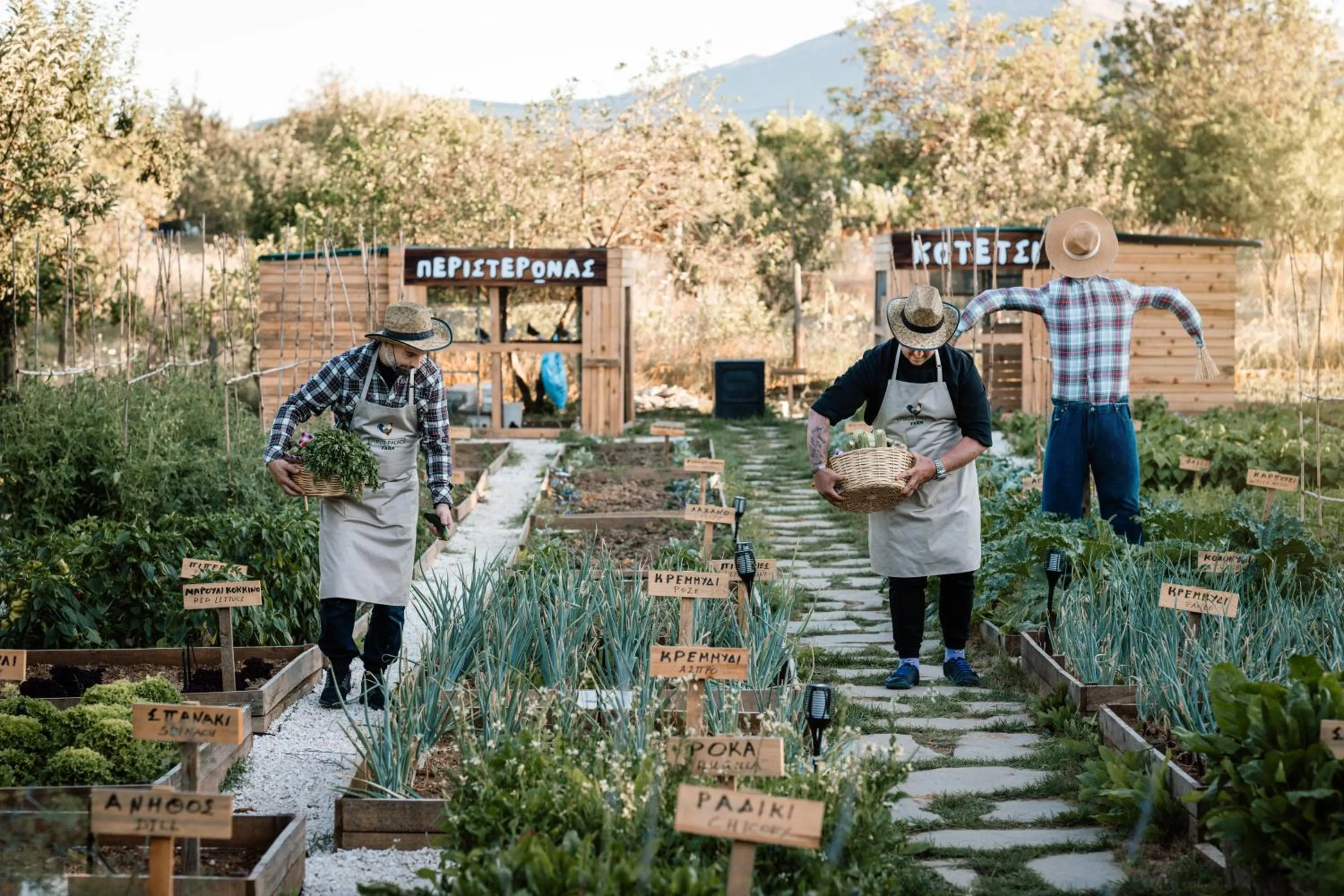 Property building in Epirus Palace Congress & Spa