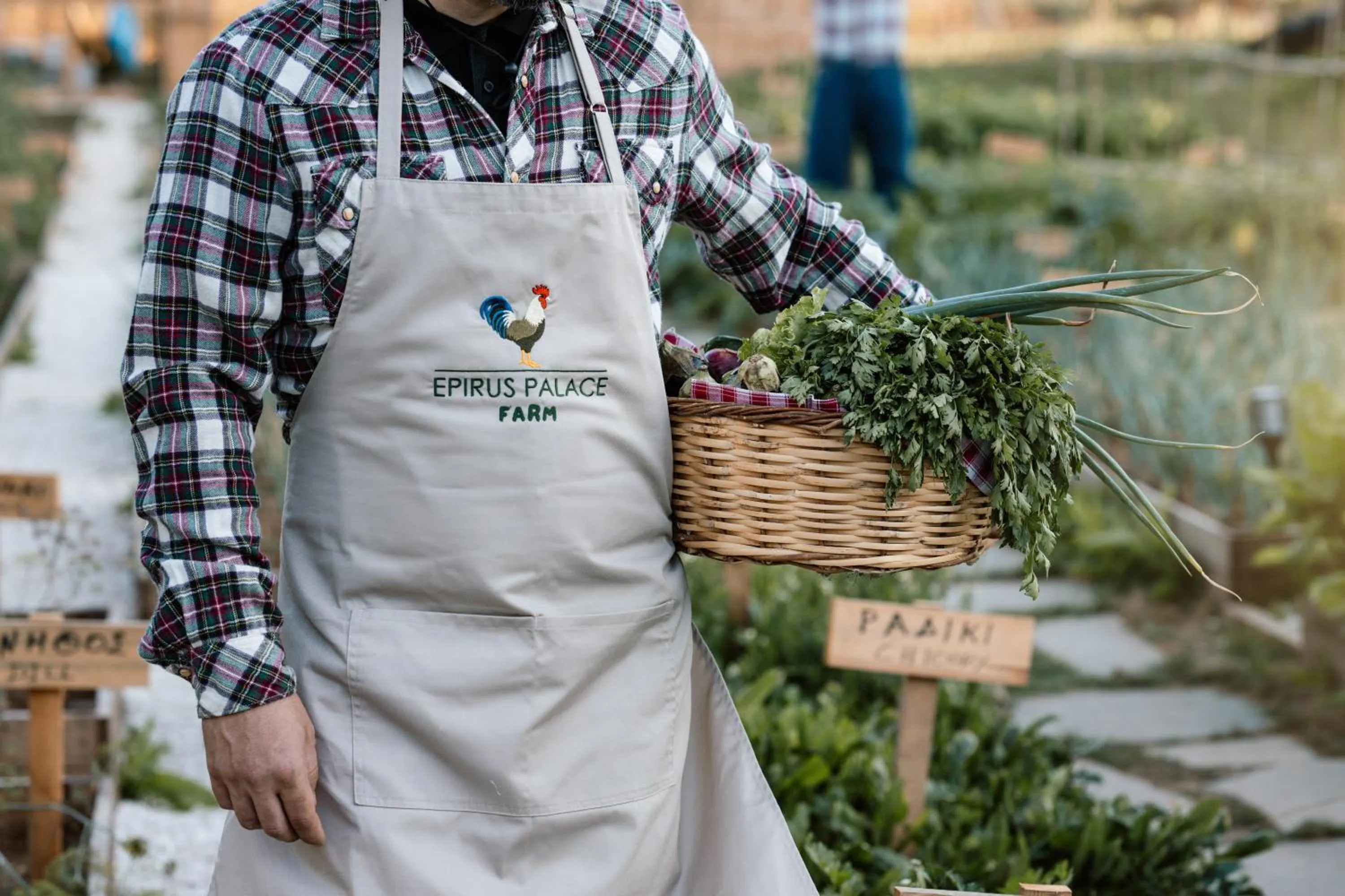 Property building in Epirus Palace Congress & Spa