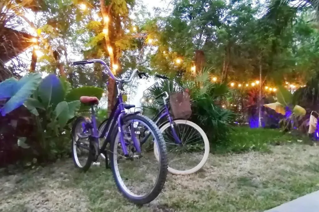 DK31 Wifi 600mb, Cheap Scooters by Moikkarentals